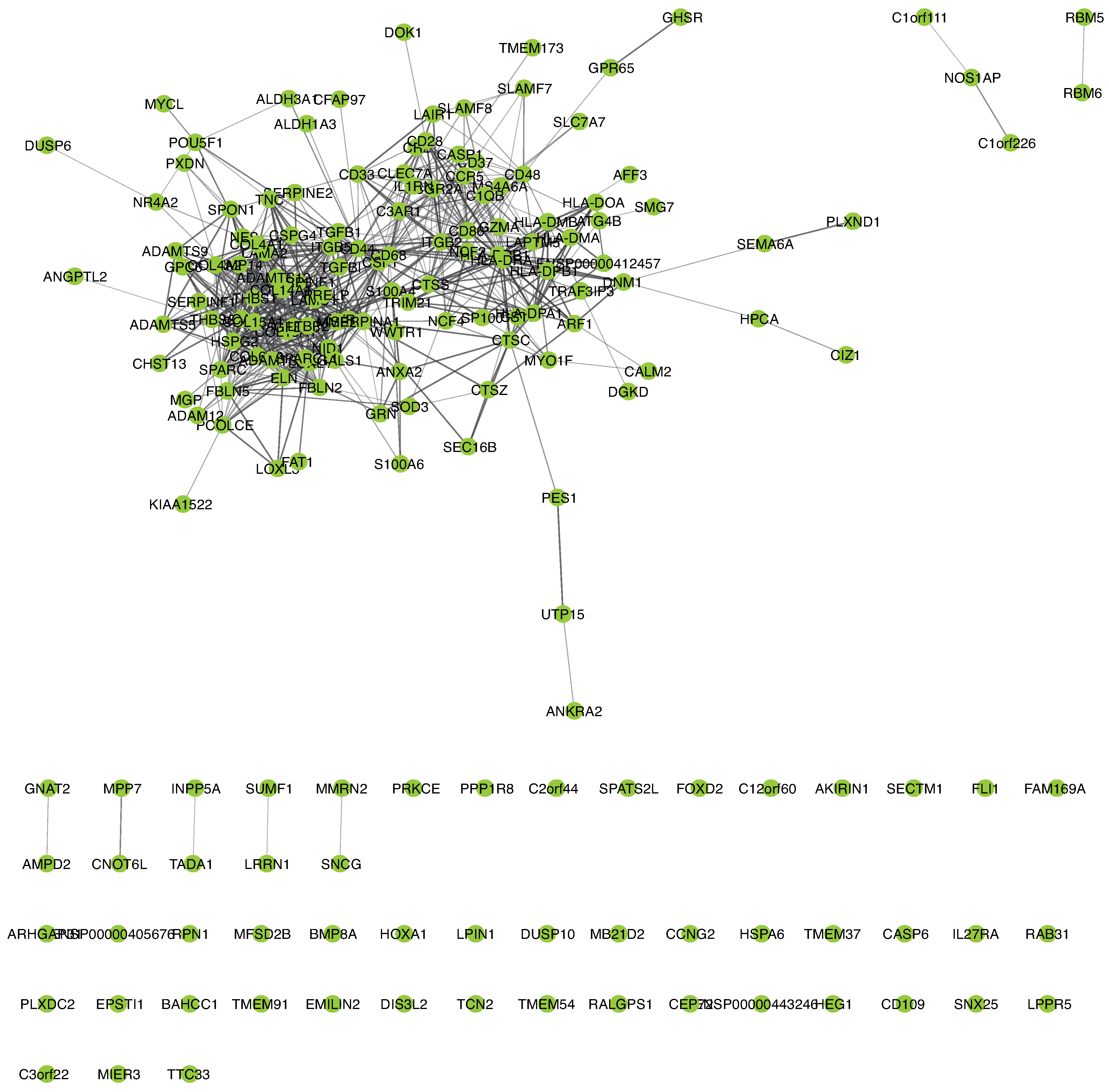 Cells 10 00576 g0a6 Cells 10 00576 g0a6