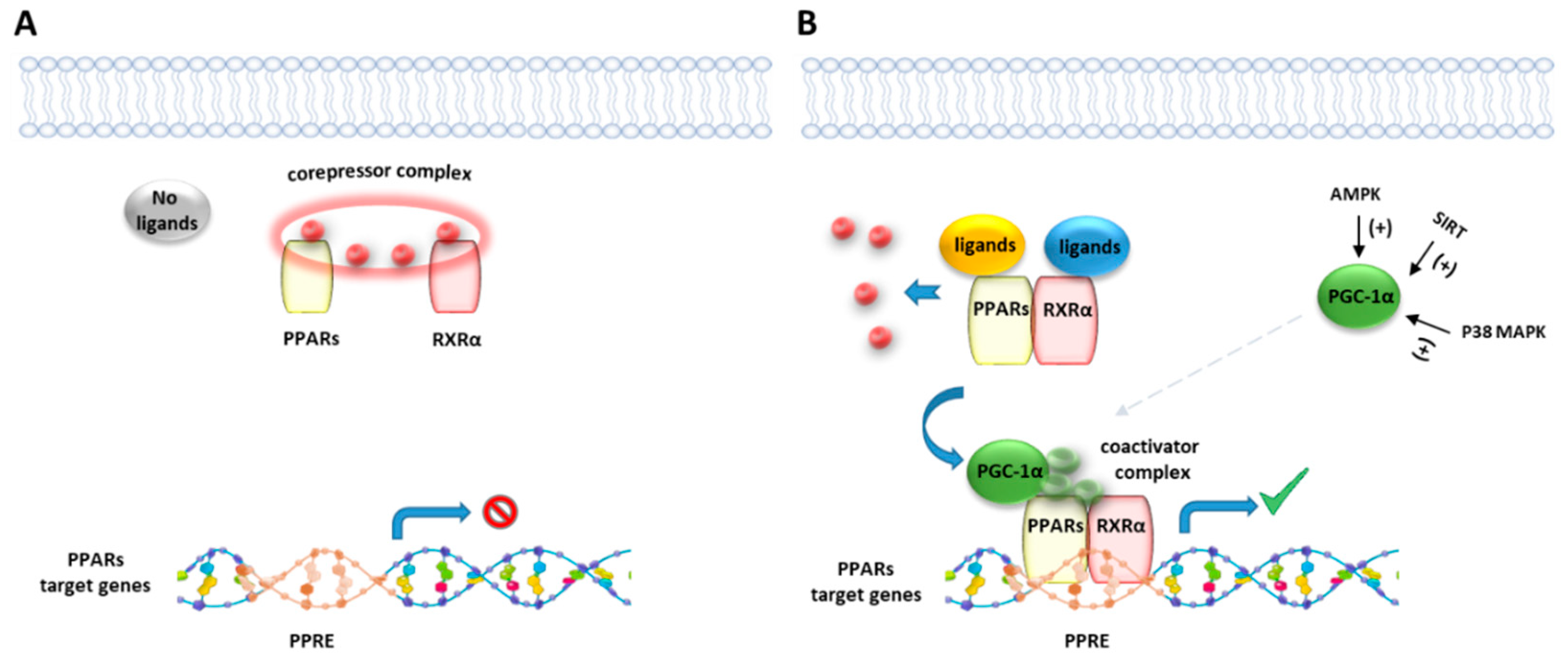 Cells 10 00586 g002 Cells 10 00586 g002