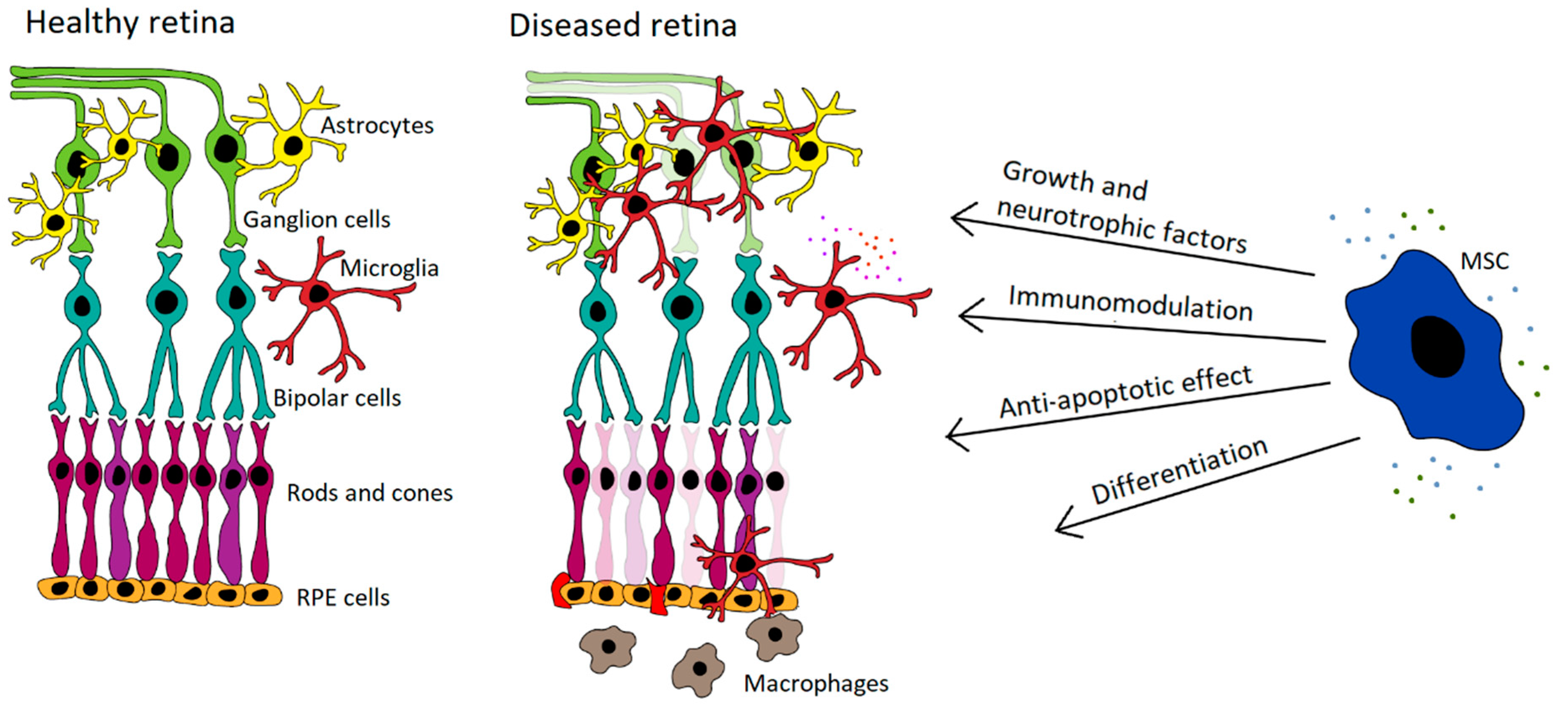 Cells 10 00588 g001 Cells 10 00588 g001