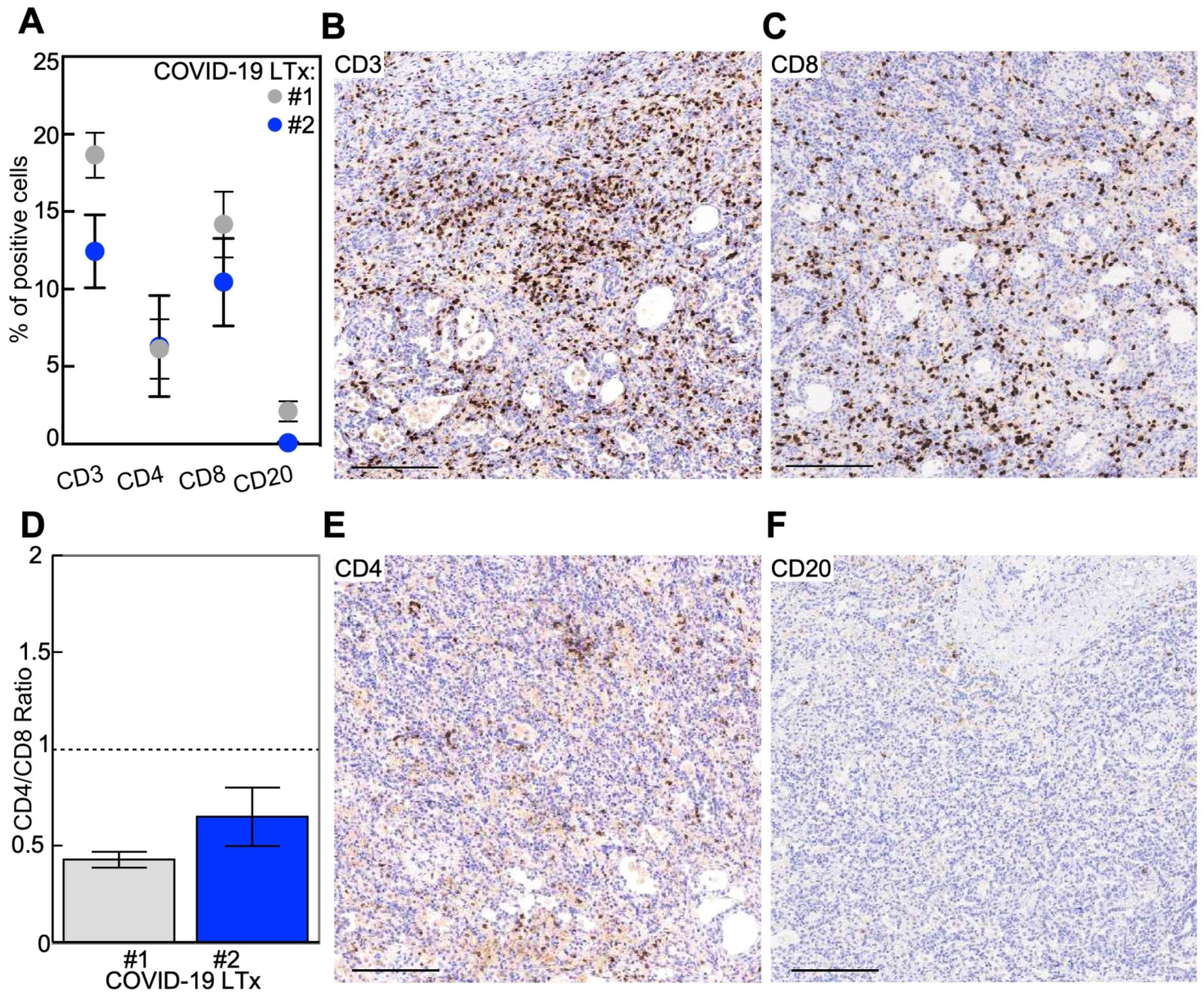 Cells 10 00611 g002