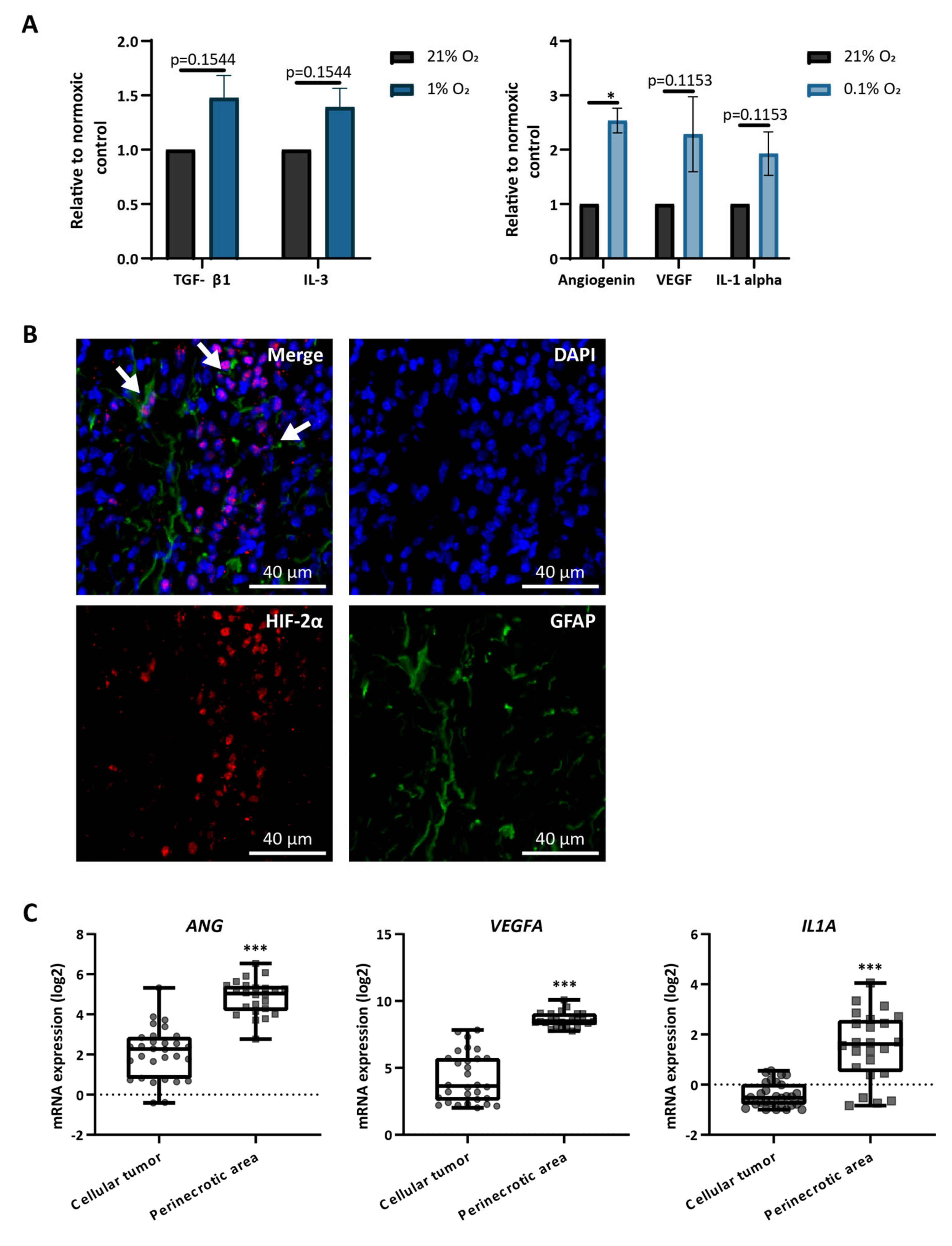Cells 10 00613 g003 Cells 10 00613 g003
