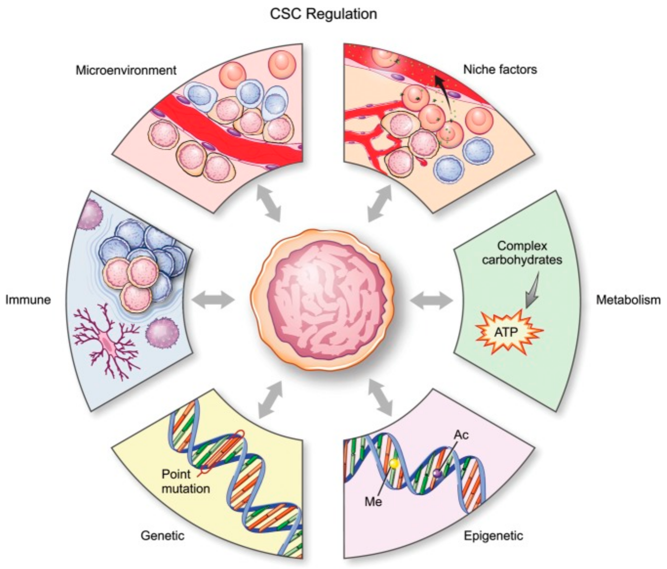 Cells 10 00621 g001 Cells 10 00621 g001