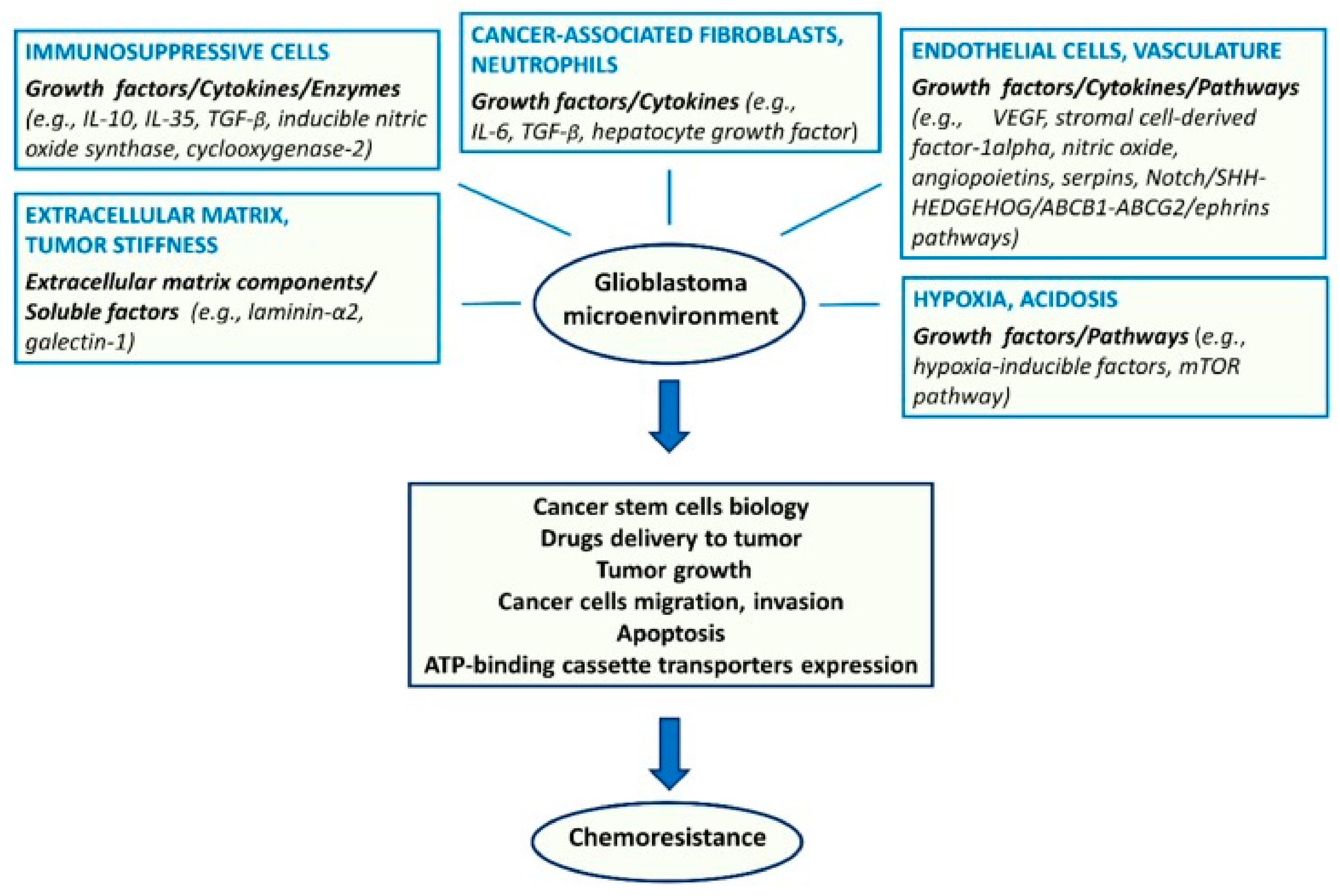 Cells 10 00621 g004 Cells 10 00621 g004