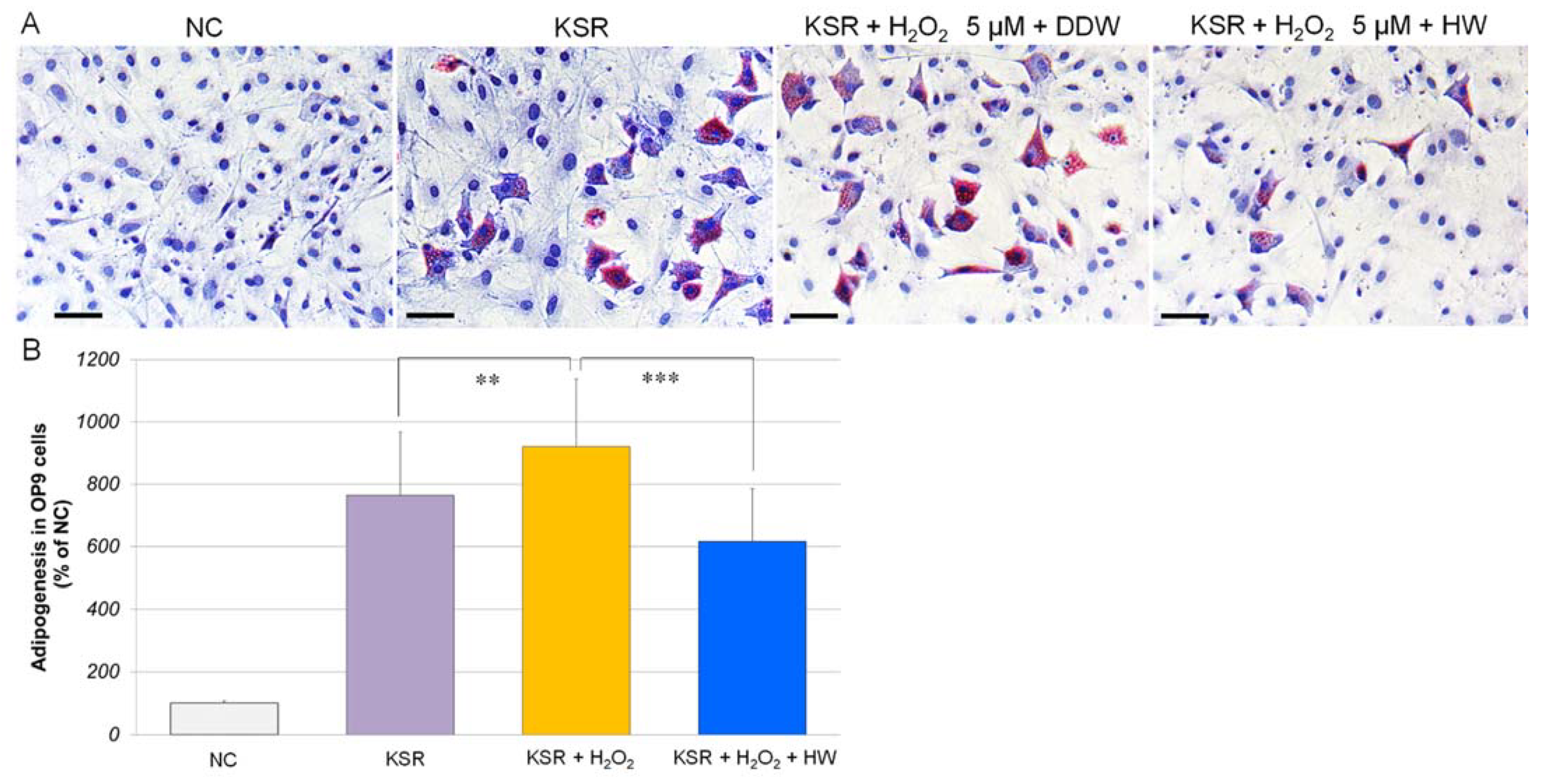 Cells 10 00626 g004 Cells 10 00626 g004