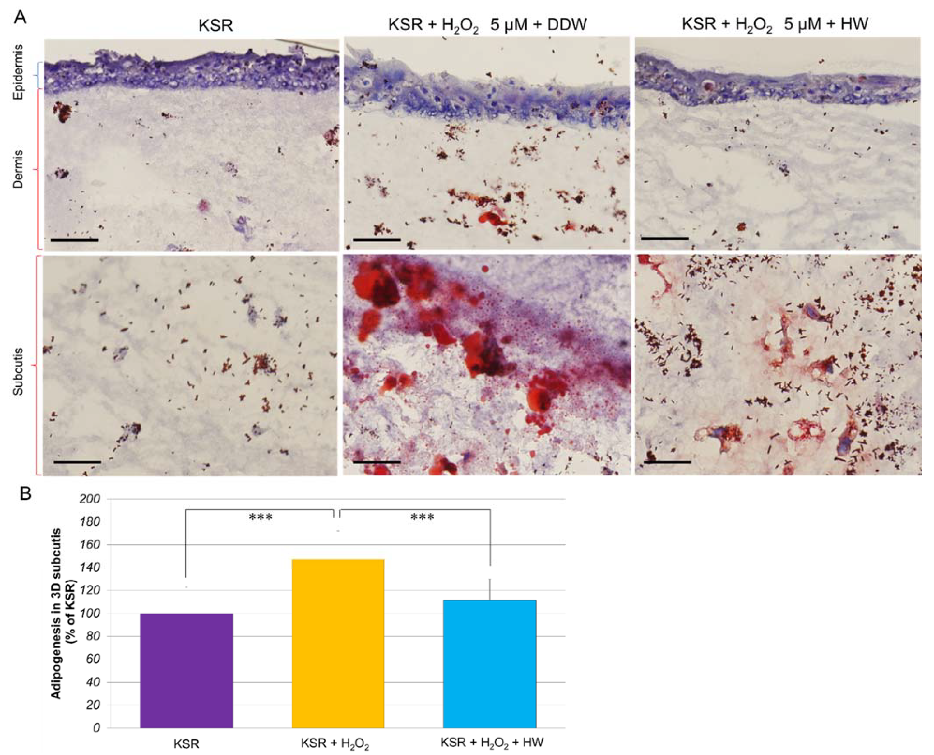 Cells 10 00626 g005 Cells 10 00626 g005
