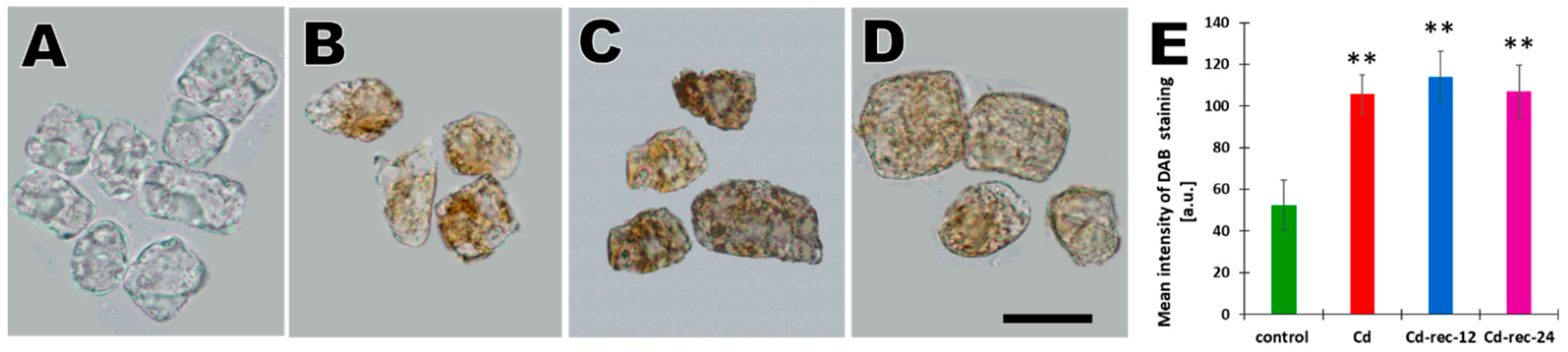 Cells 10 00640 g001 Cells 10 00640 g001