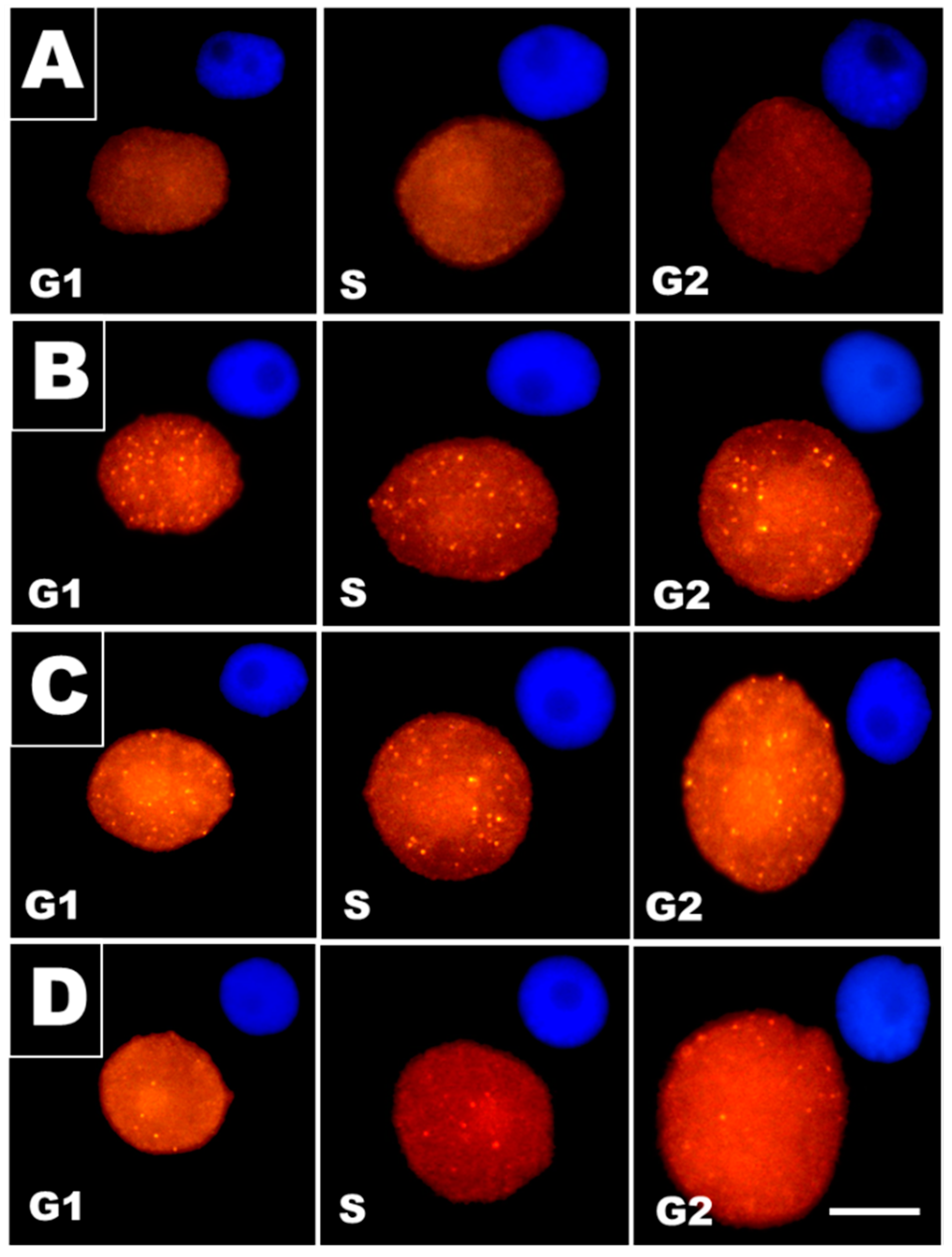 Cells 10 00640 g002 Cells 10 00640 g002