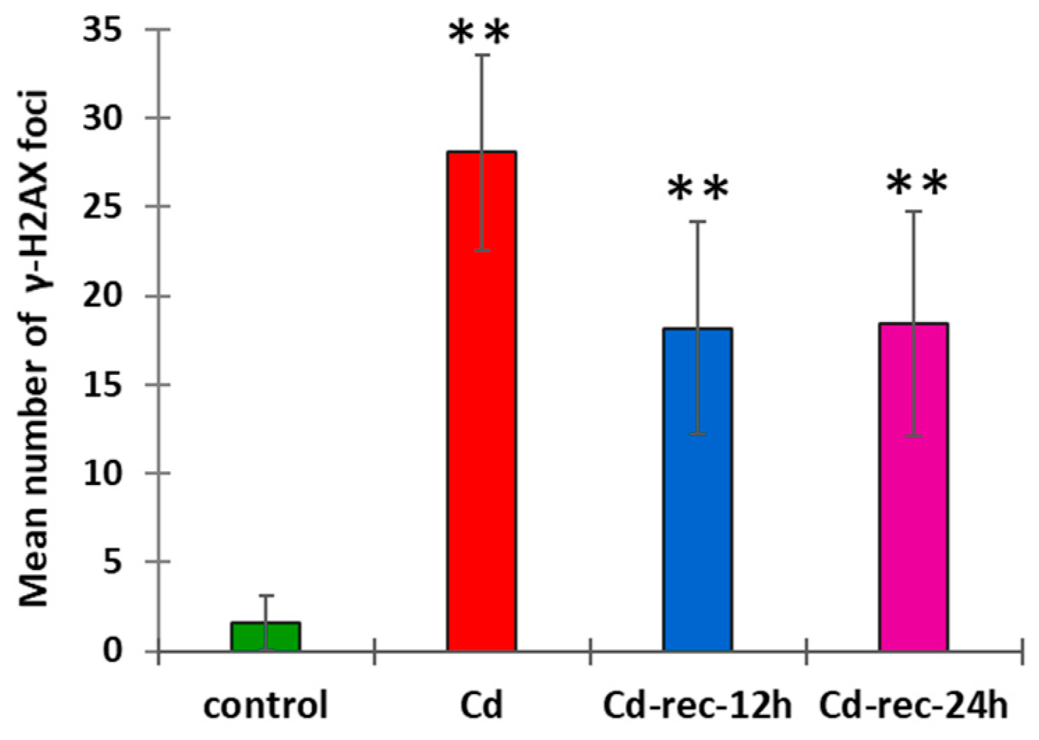 Cells 10 00640 g003 Cells 10 00640 g003