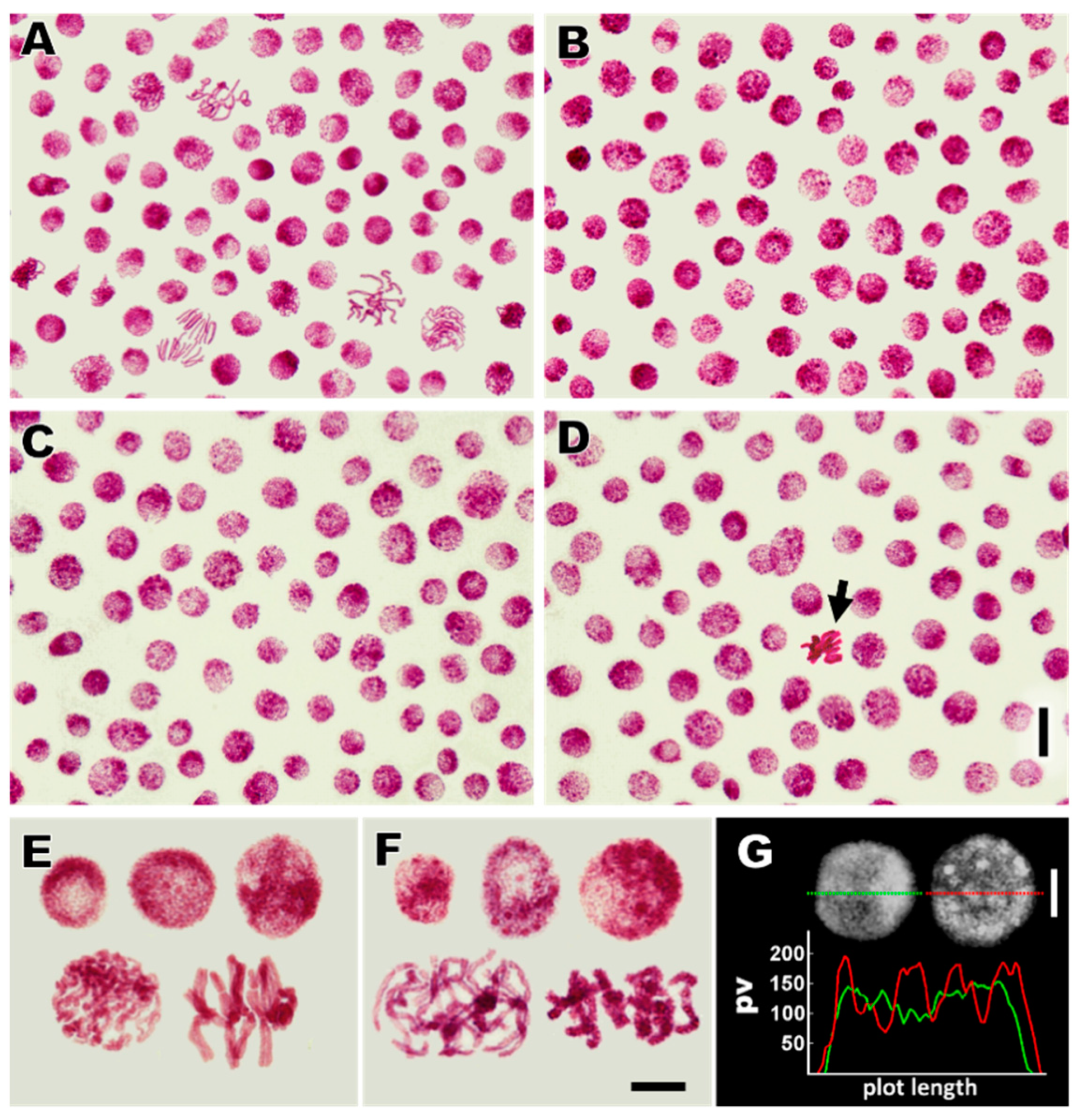 Cells 10 00640 g004 Cells 10 00640 g004