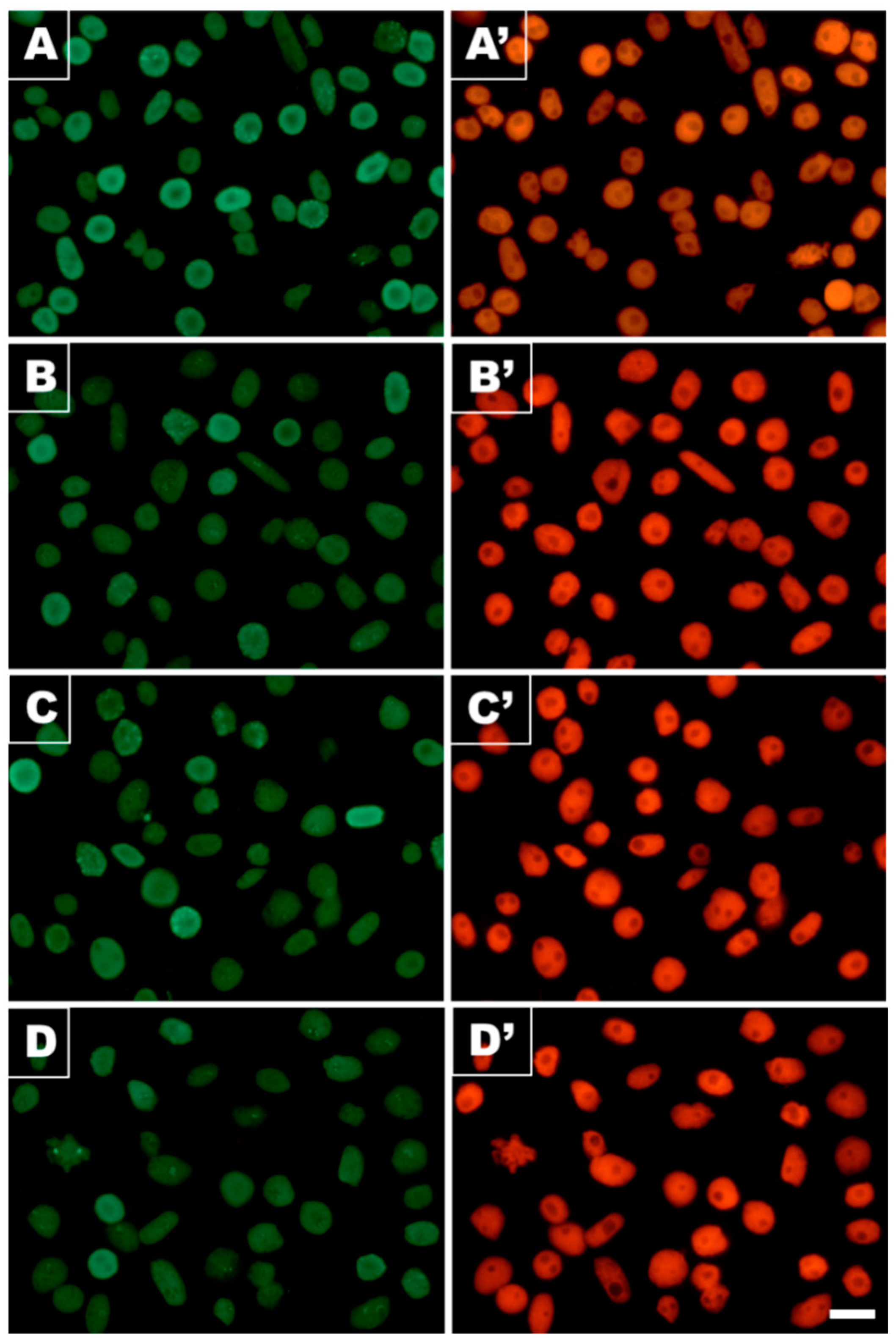 Cells 10 00640 g010 Cells 10 00640 g010