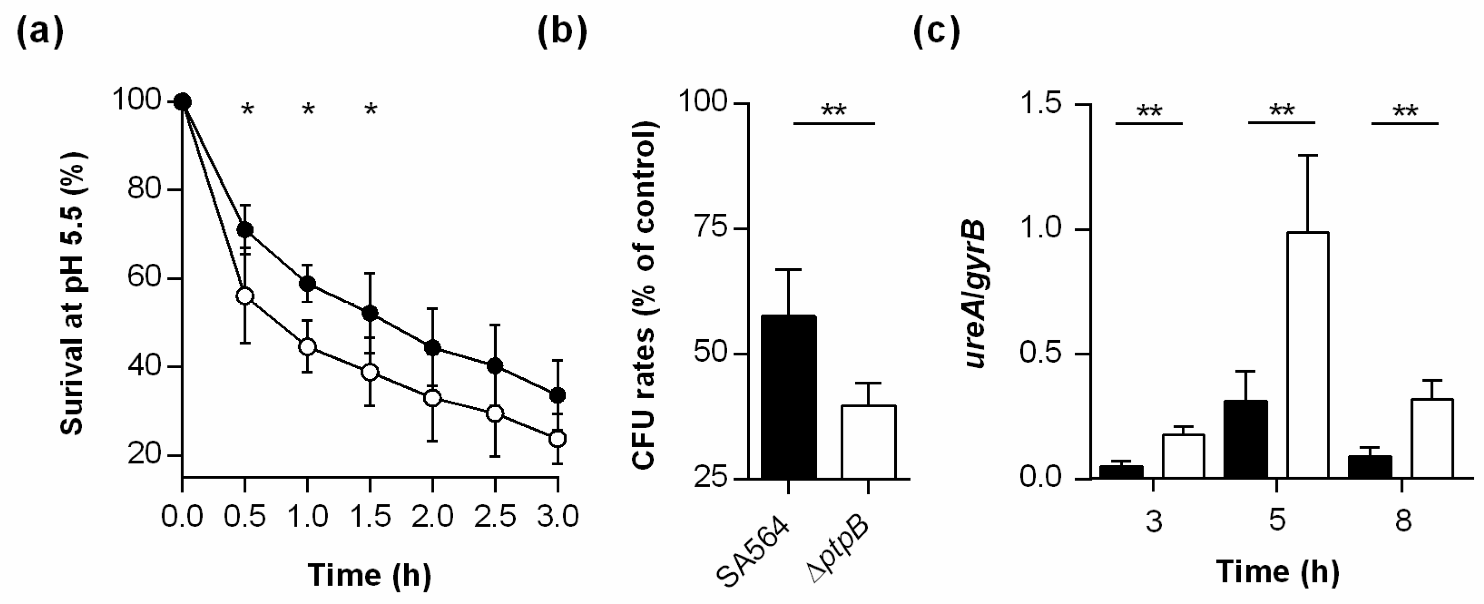 Cells 10 00645 g008 Cells 10 00645 g008