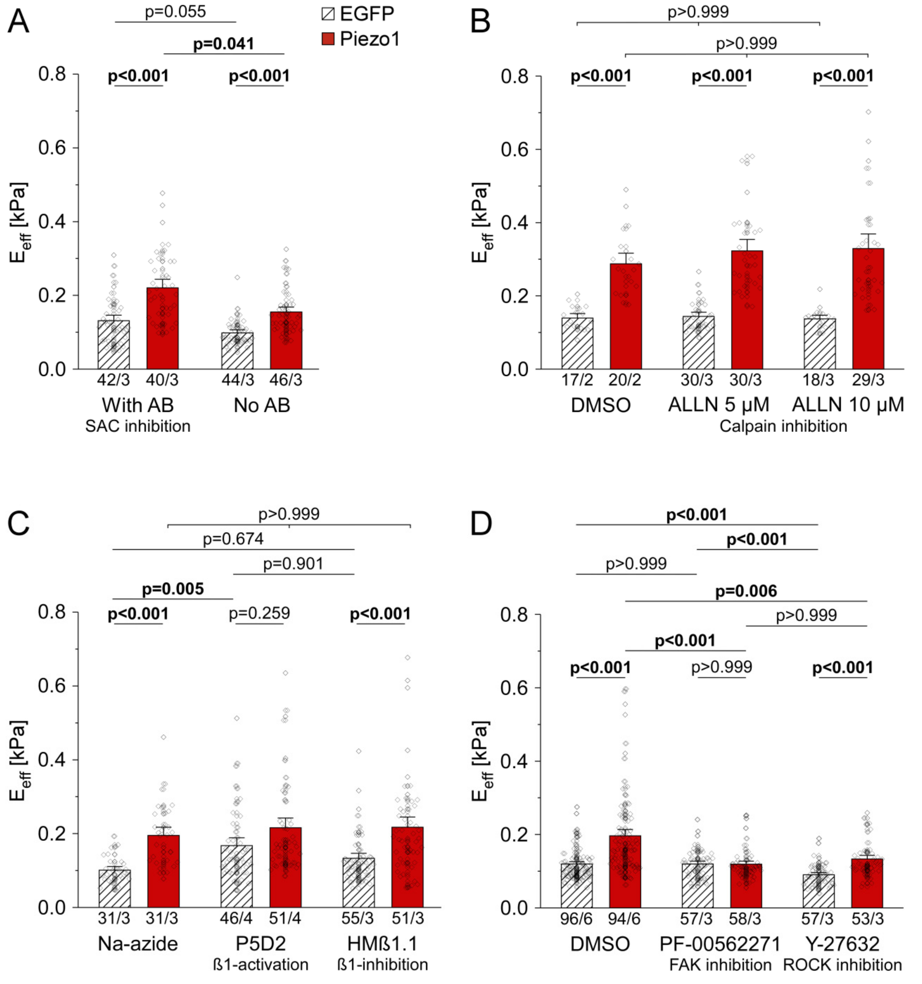 Cells 10 00663 g003 Cells 10 00663 g003