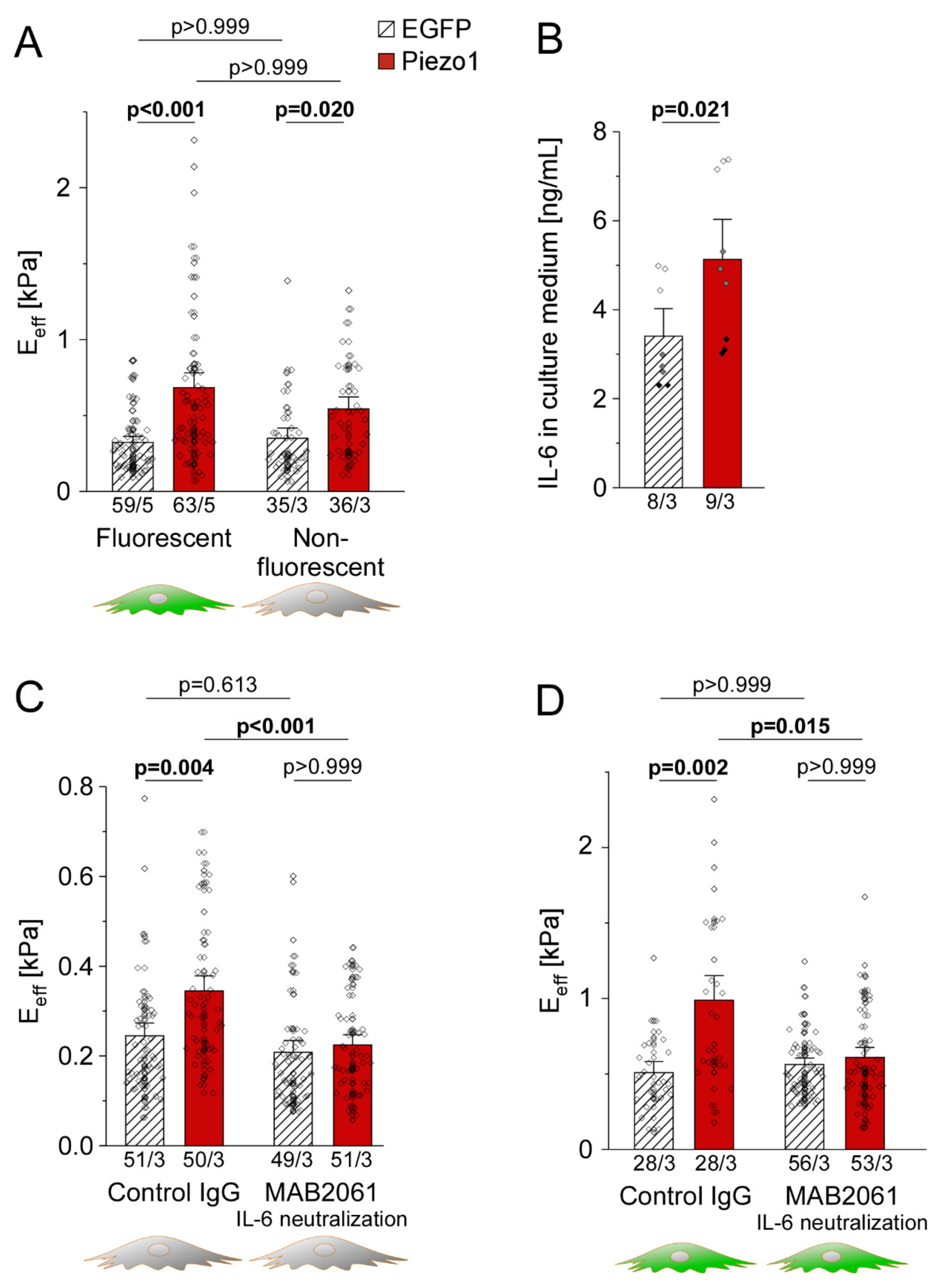Cells 10 00663 g007 Cells 10 00663 g007
