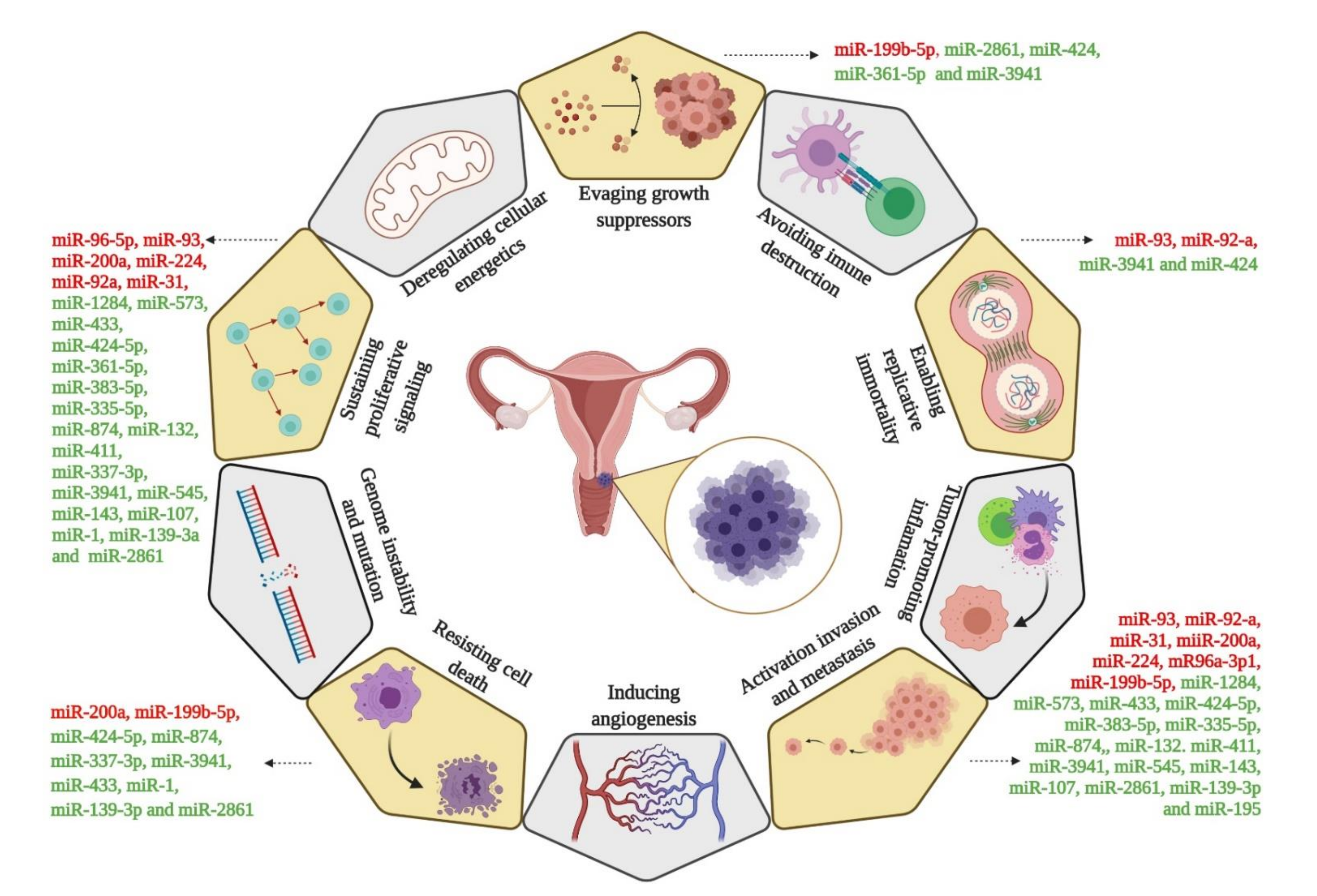 Cells 10 00668 g004 Cells 10 00668 g004
