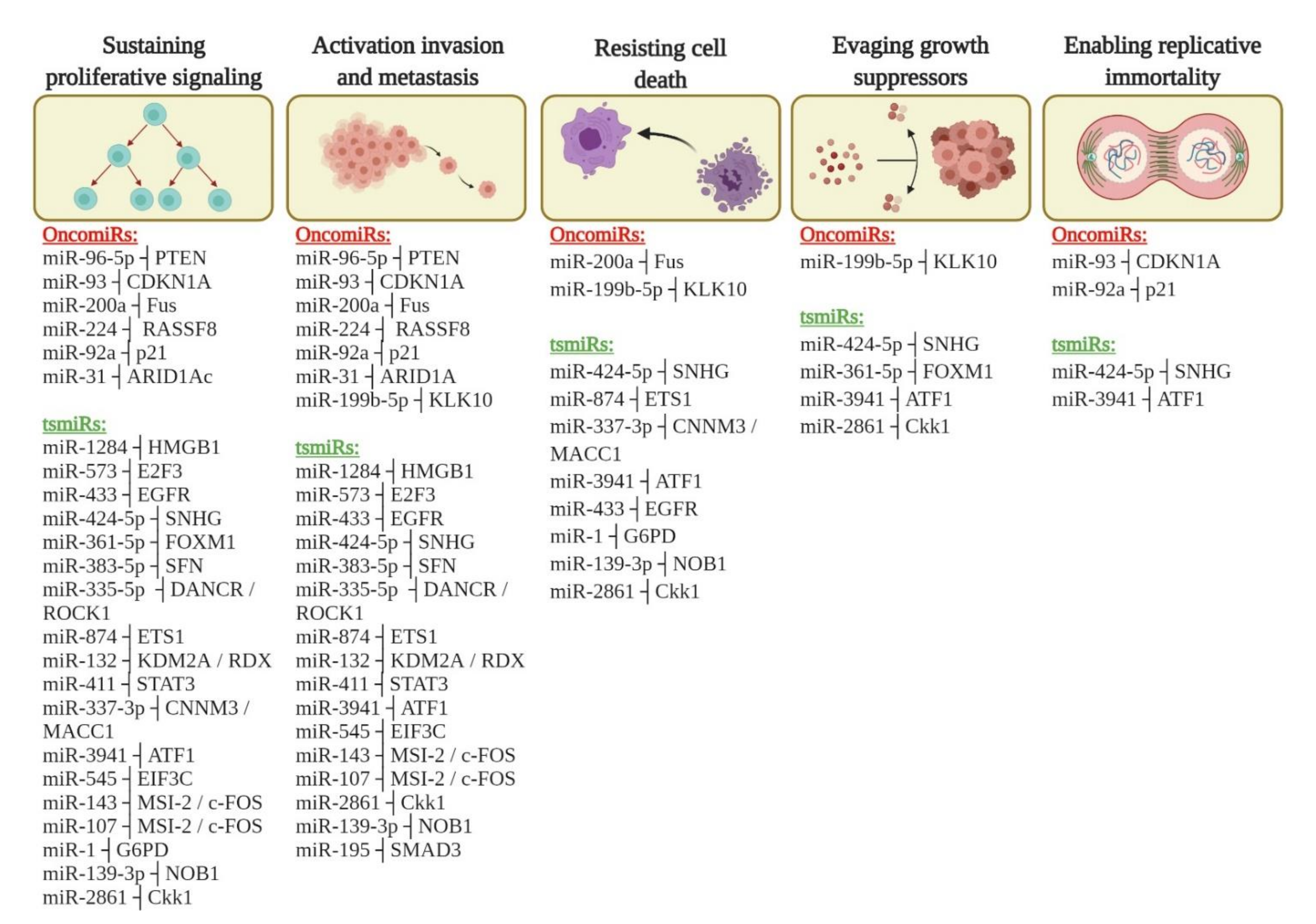 Cells 10 00668 g005 Cells 10 00668 g005