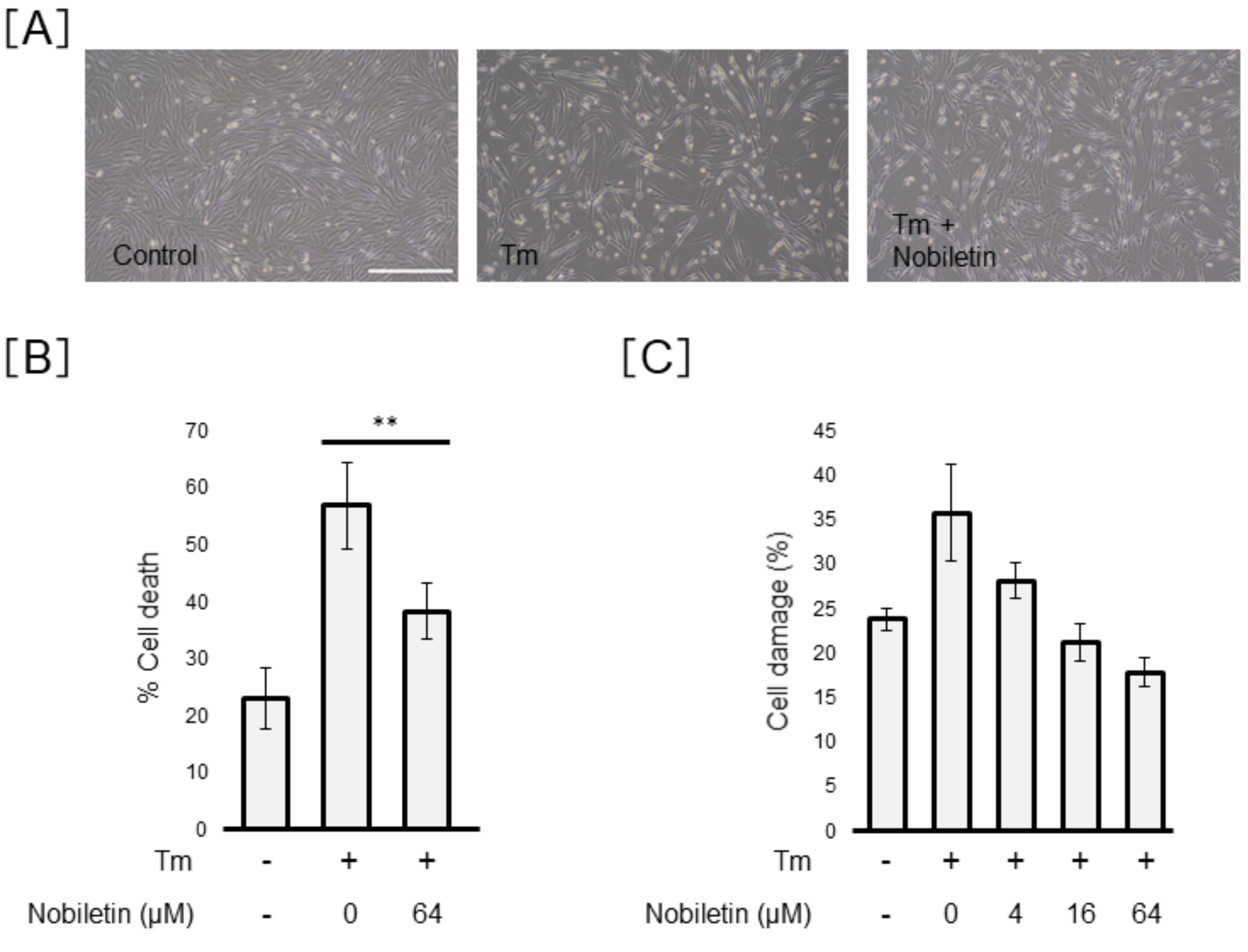 Cells 10 00669 g005 Cells 10 00669 g005