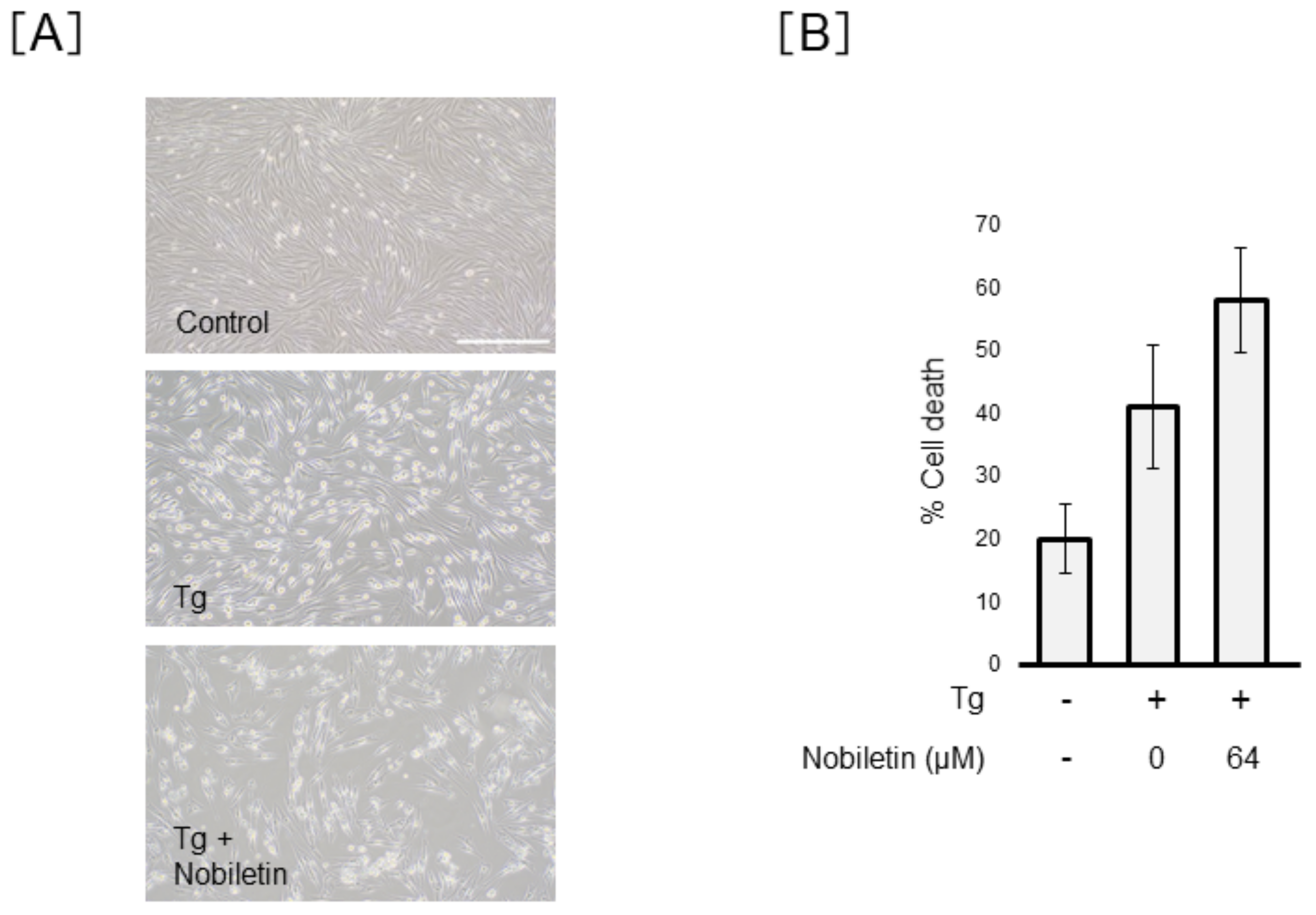 Cells 10 00669 g006 Cells 10 00669 g006