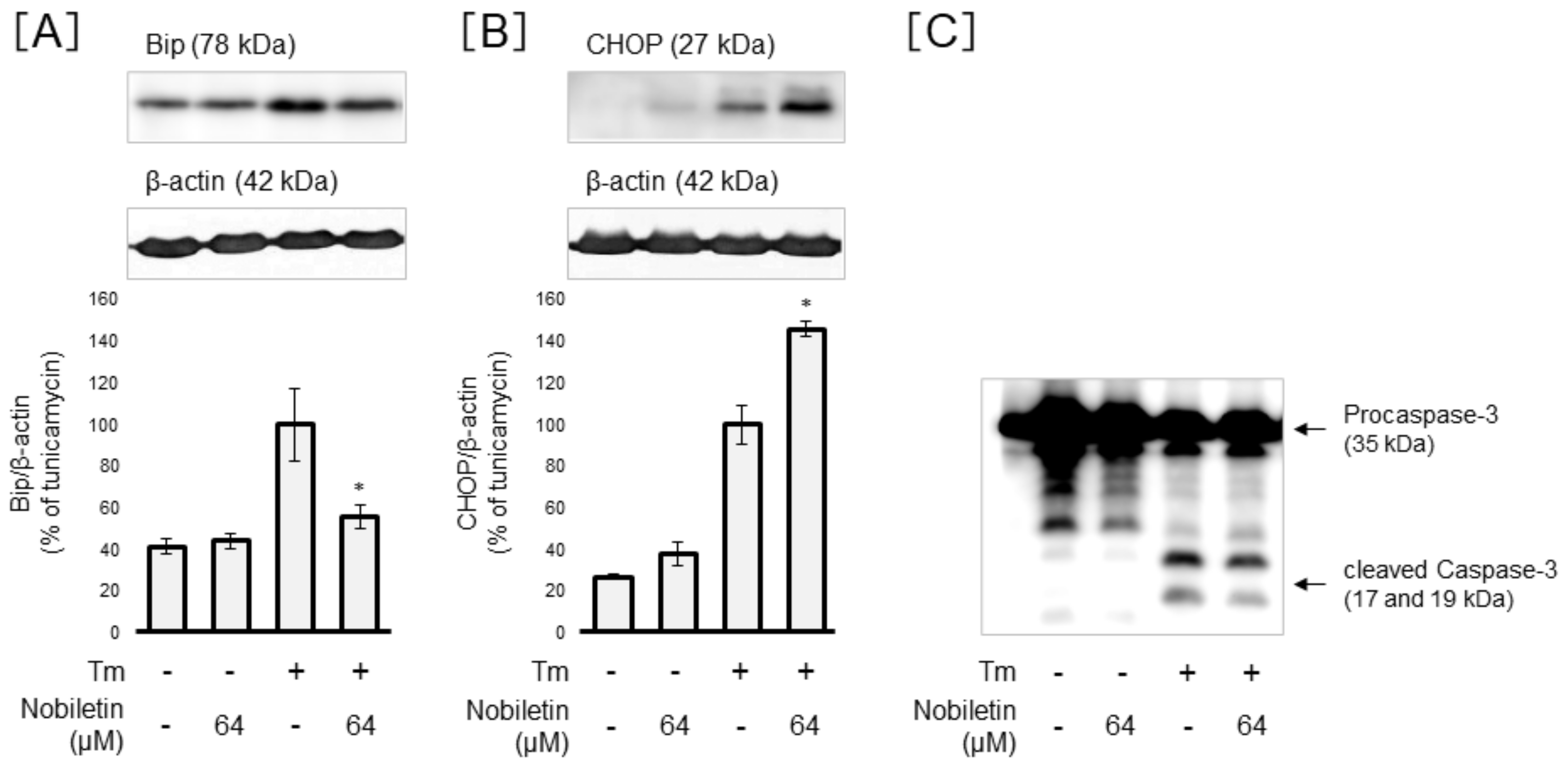 Cells 10 00669 g007 Cells 10 00669 g007