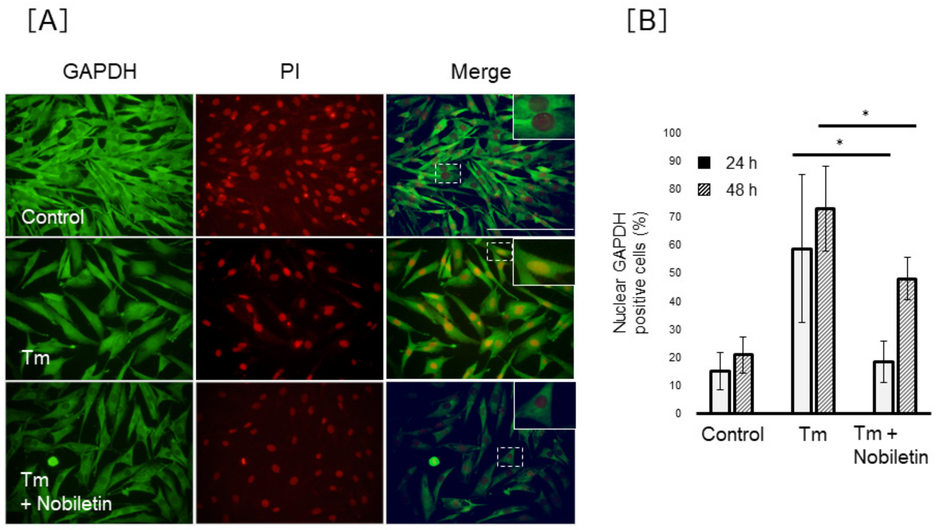 Cells 10 00669 g008 Cells 10 00669 g008