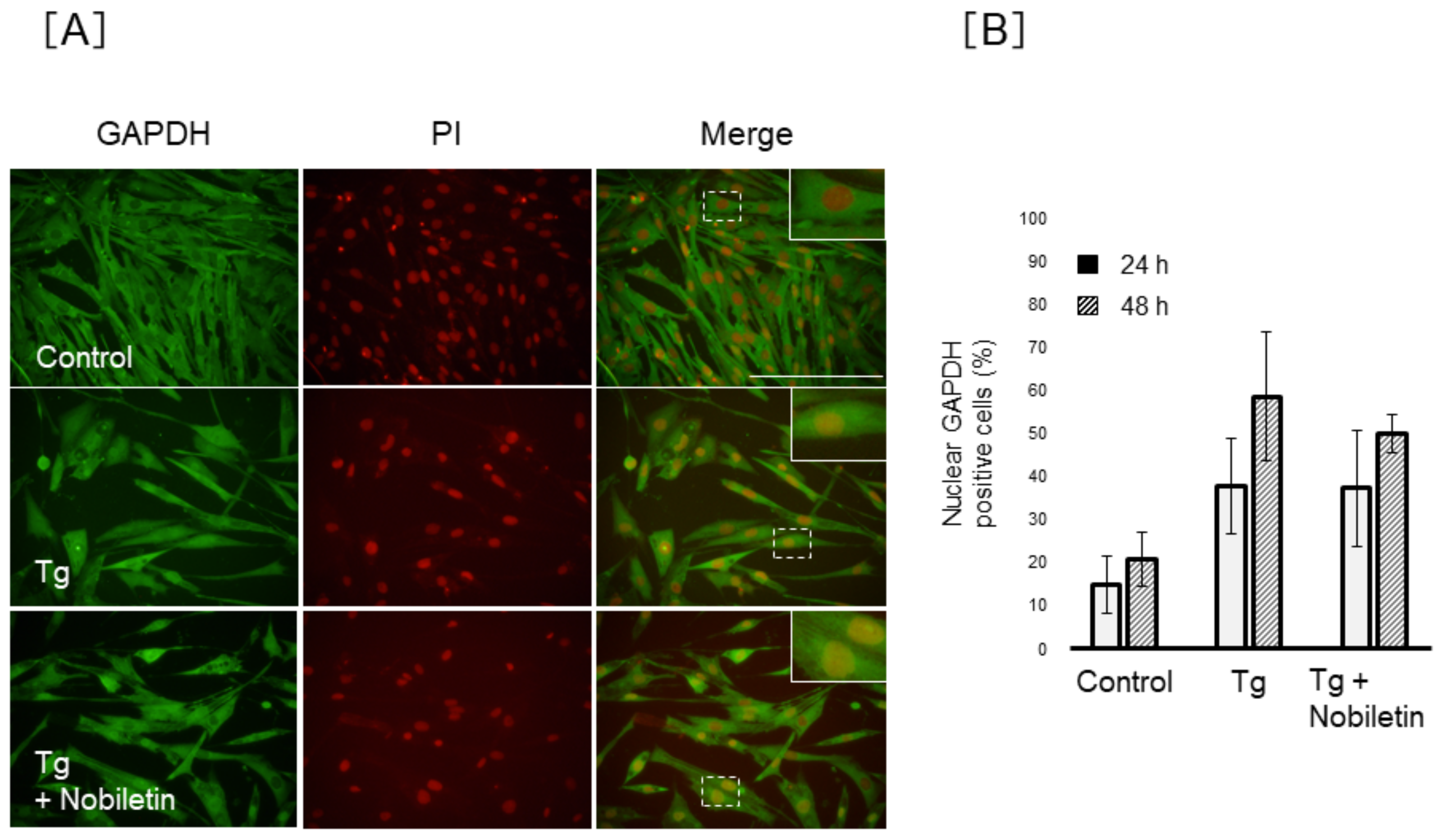 Cells 10 00669 g009 Cells 10 00669 g009