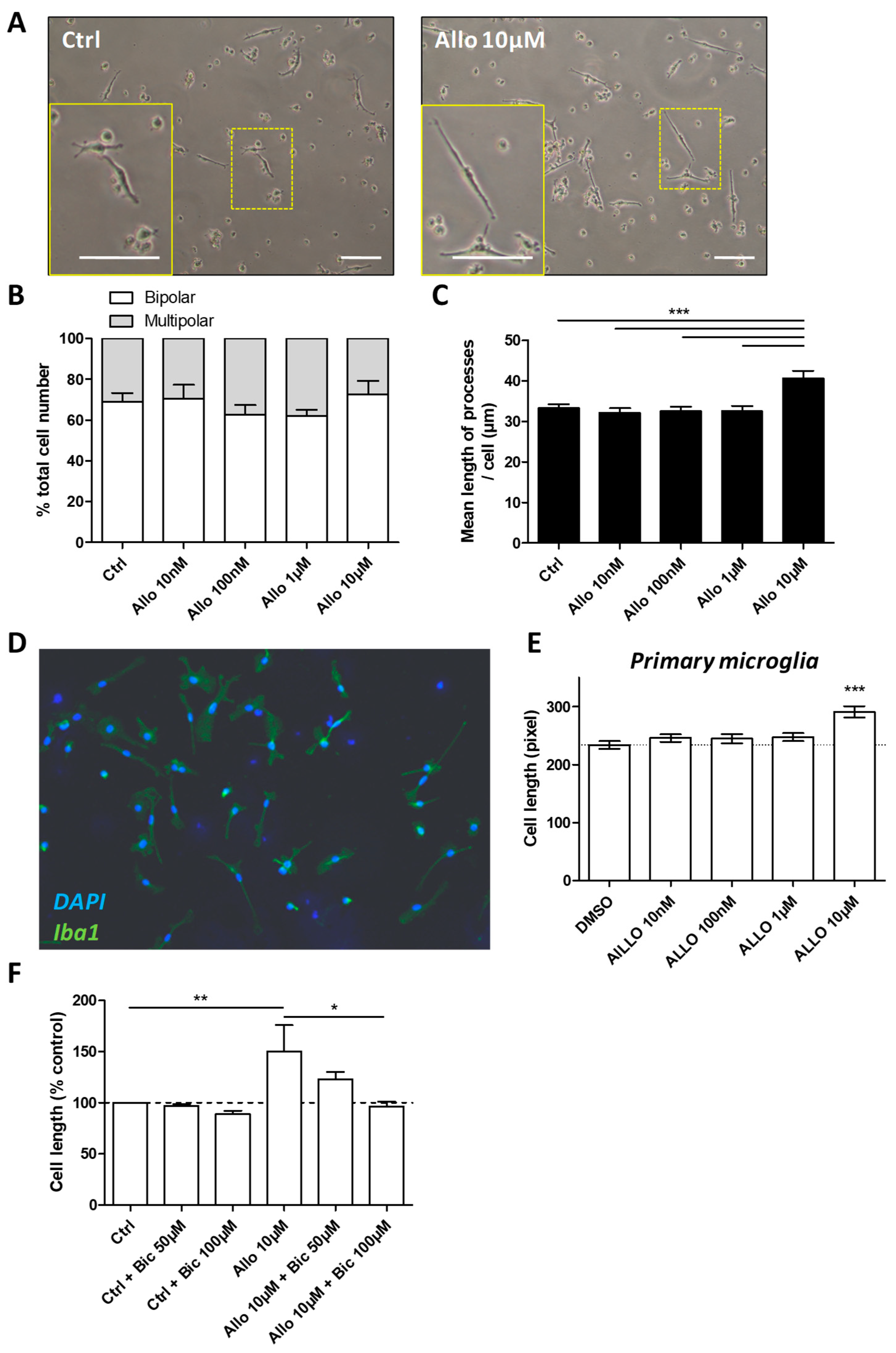 Cells 10 00698 g004