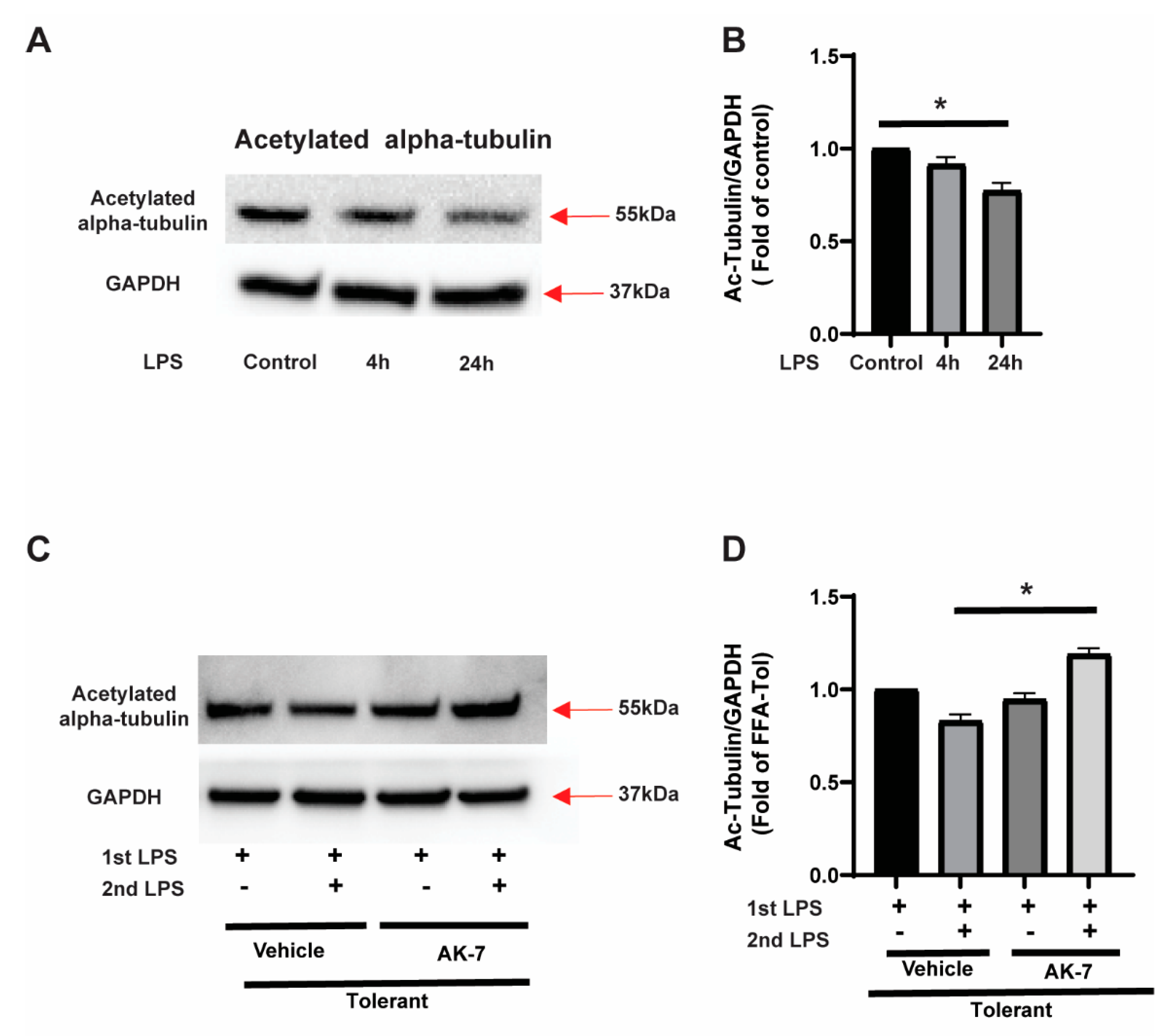 Cells 10 00731 g006 Cells 10 00731 g006