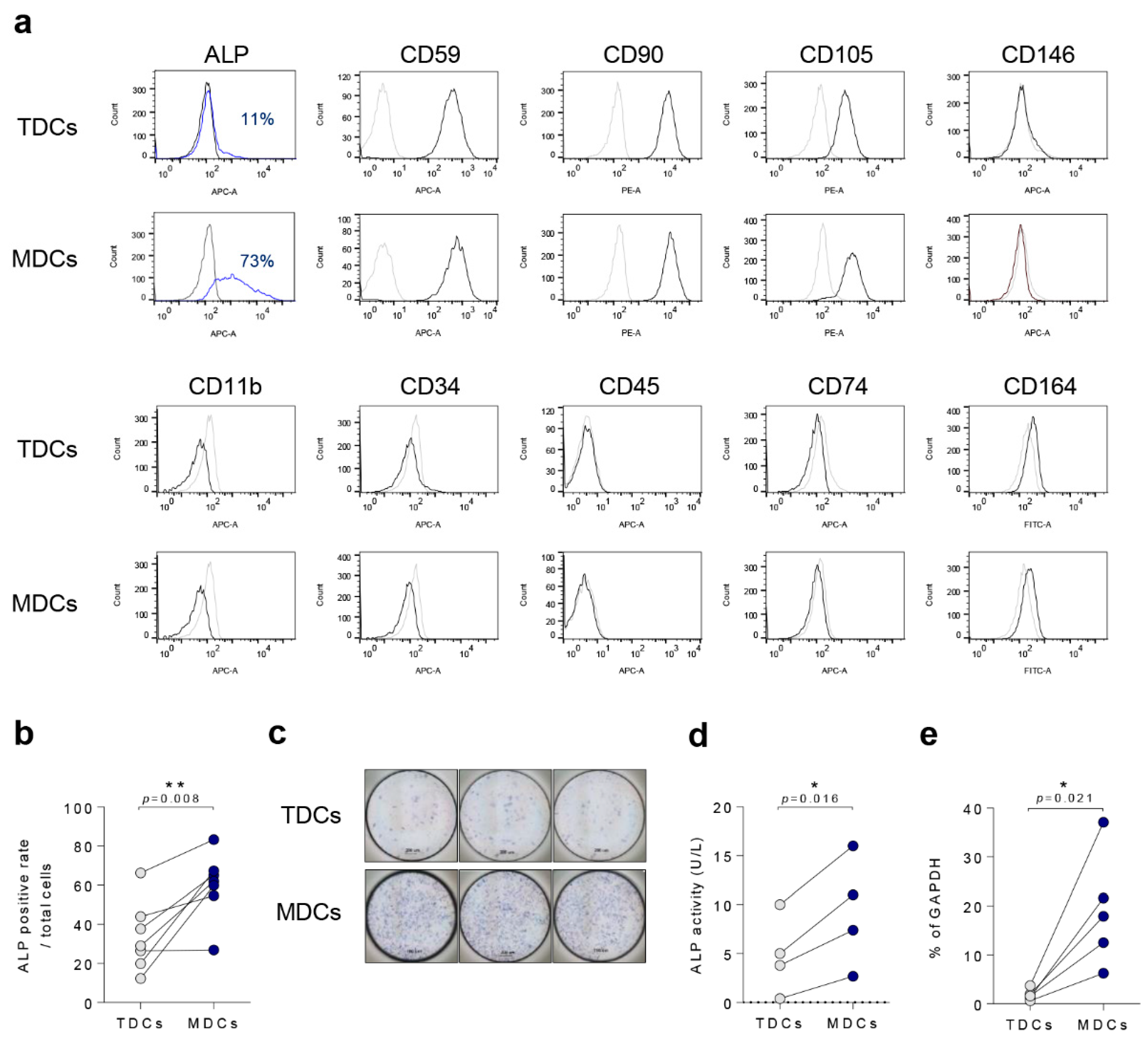 Cells 10 00740 g001