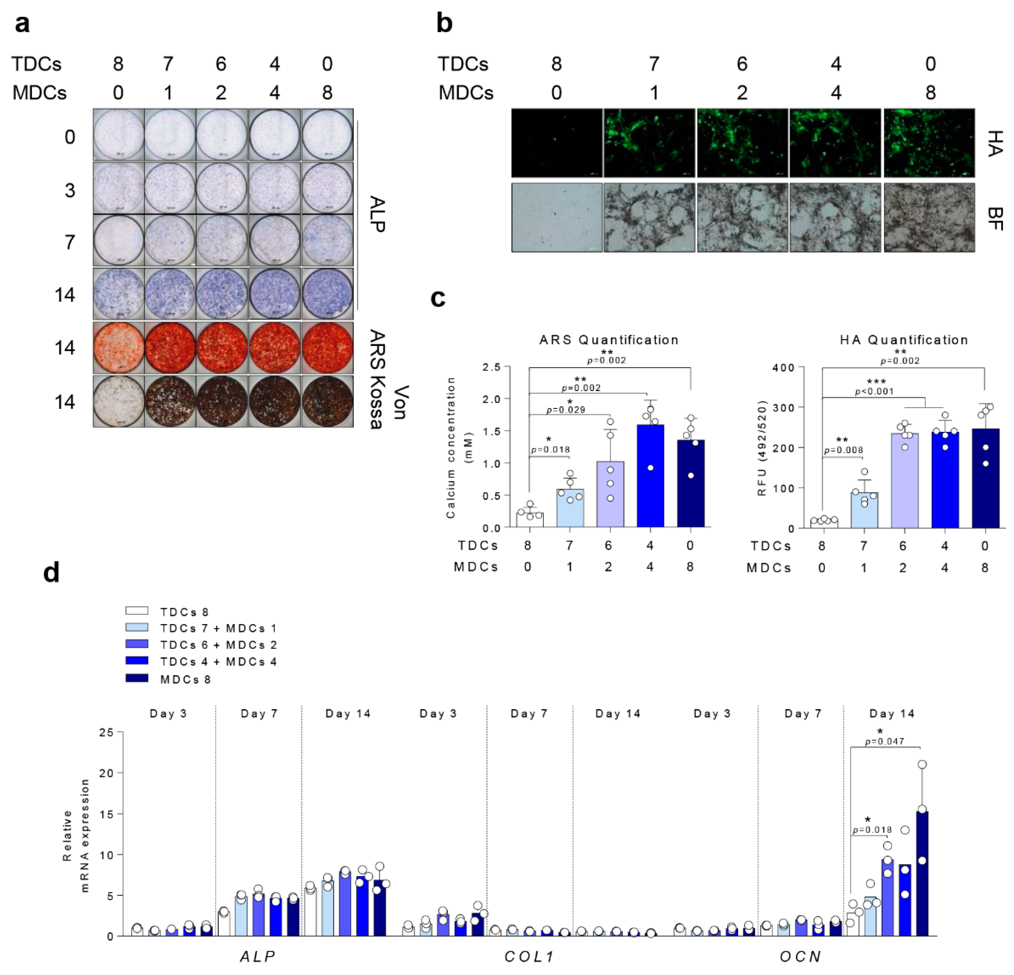 Cells 10 00740 g003
