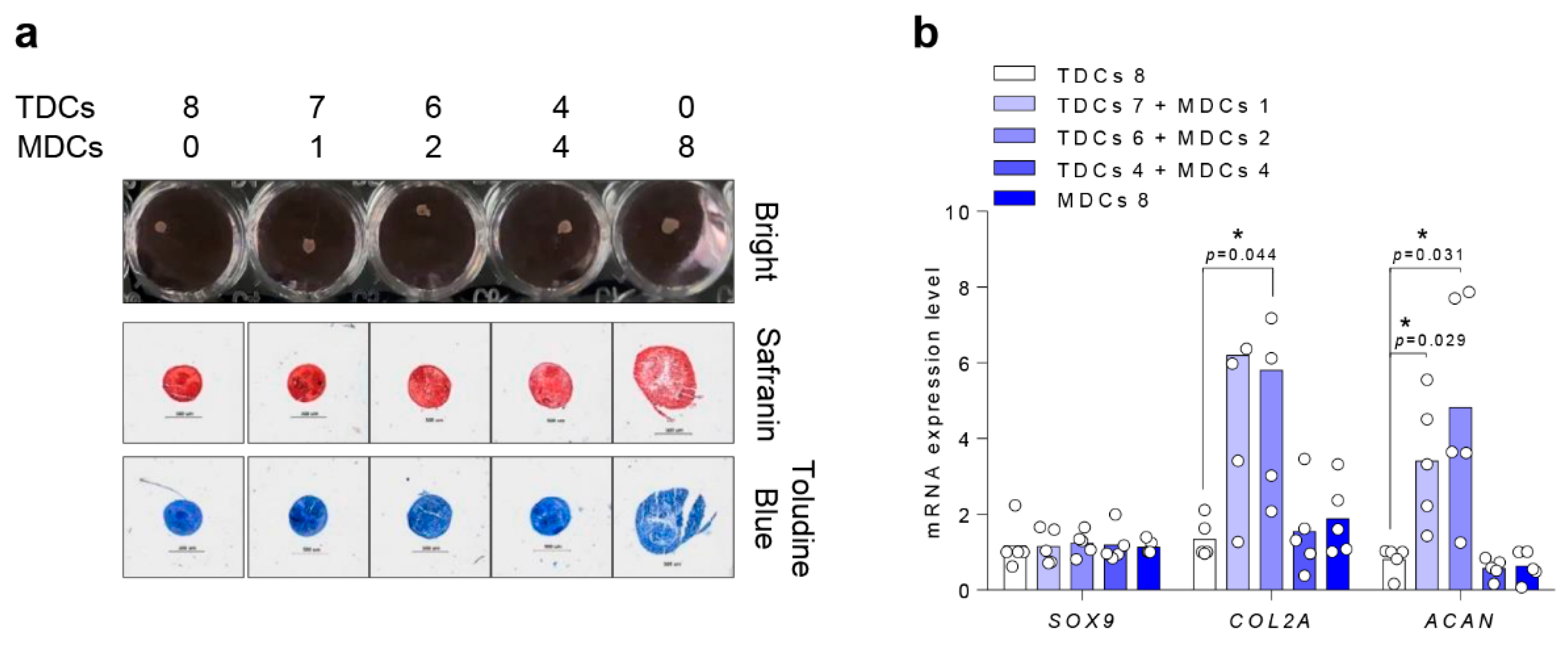 Cells 10 00740 g004