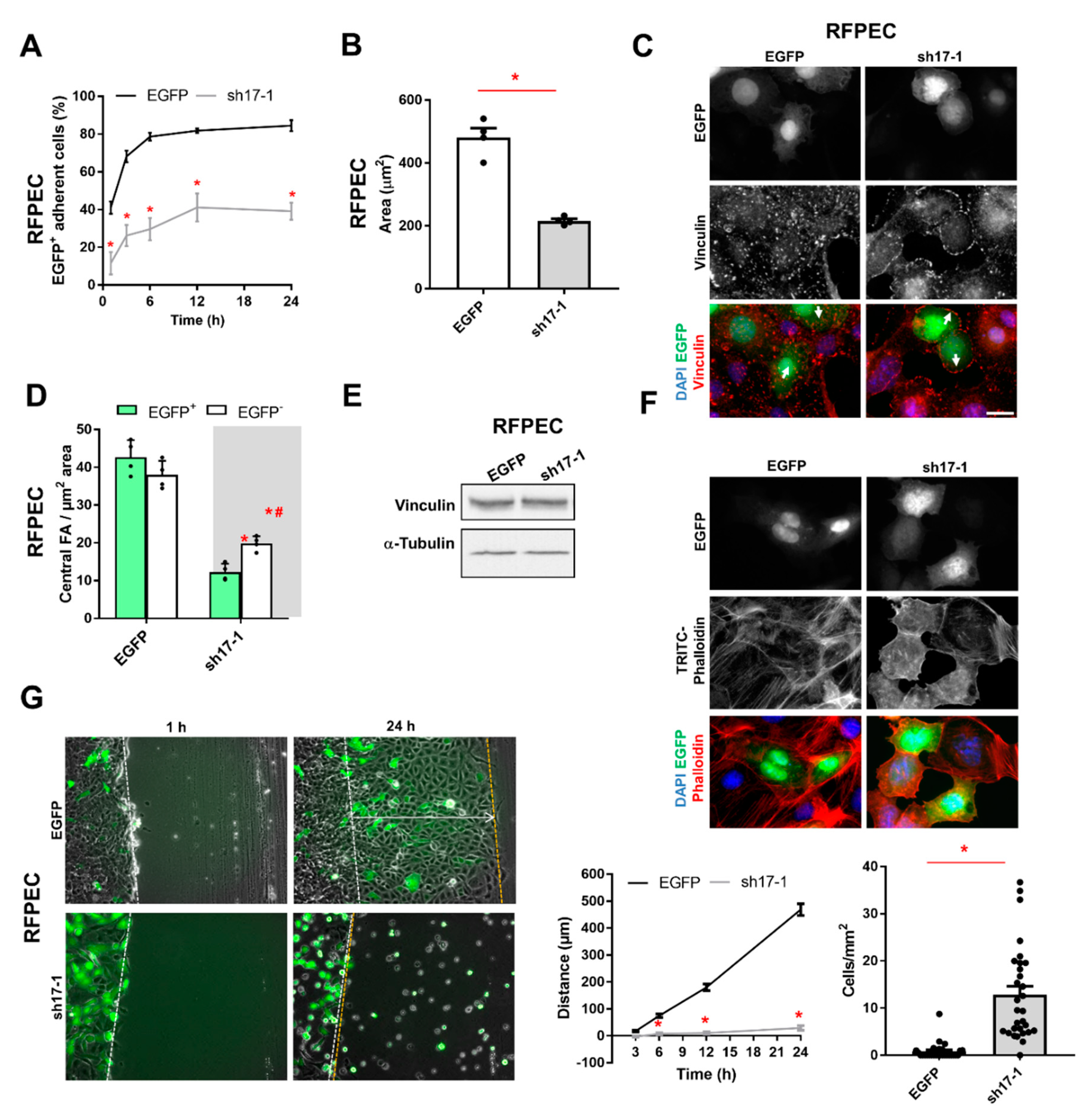 Cells 10 00741 g004 Cells 10 00741 g004