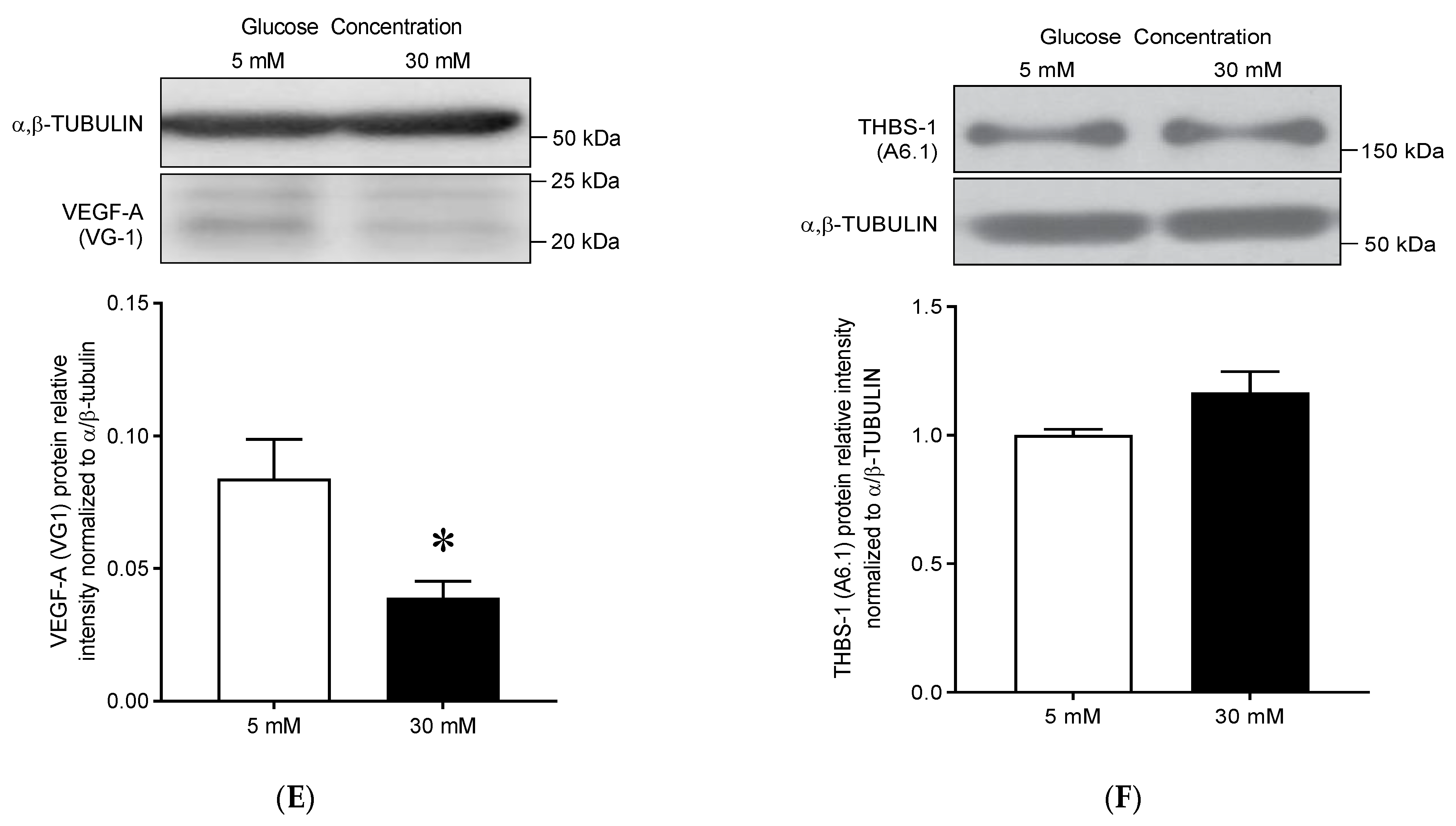 Cells 10 00742 g003b Cells 10 00742 g003b