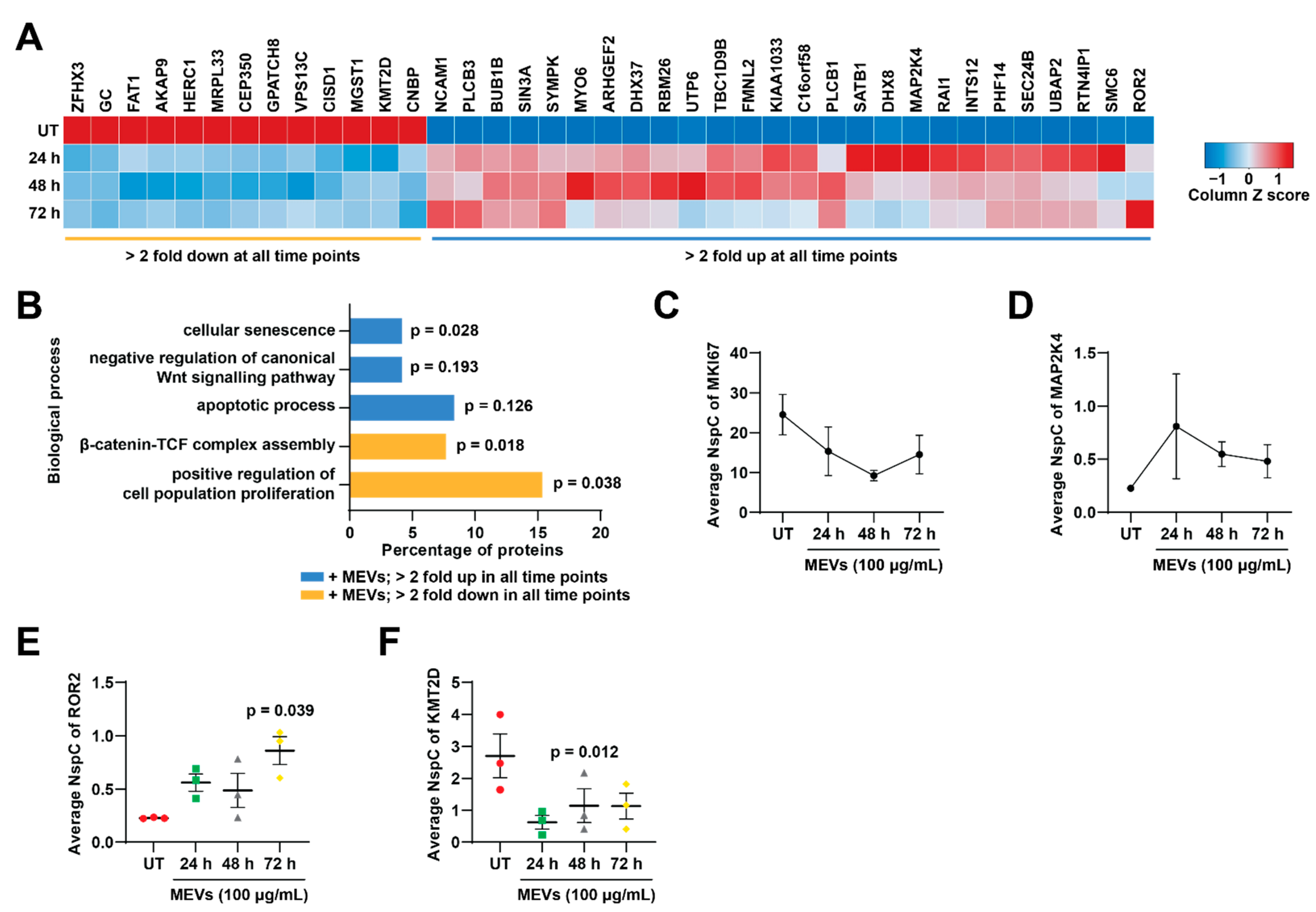 Cells 10 00750 g006 Cells 10 00750 g006