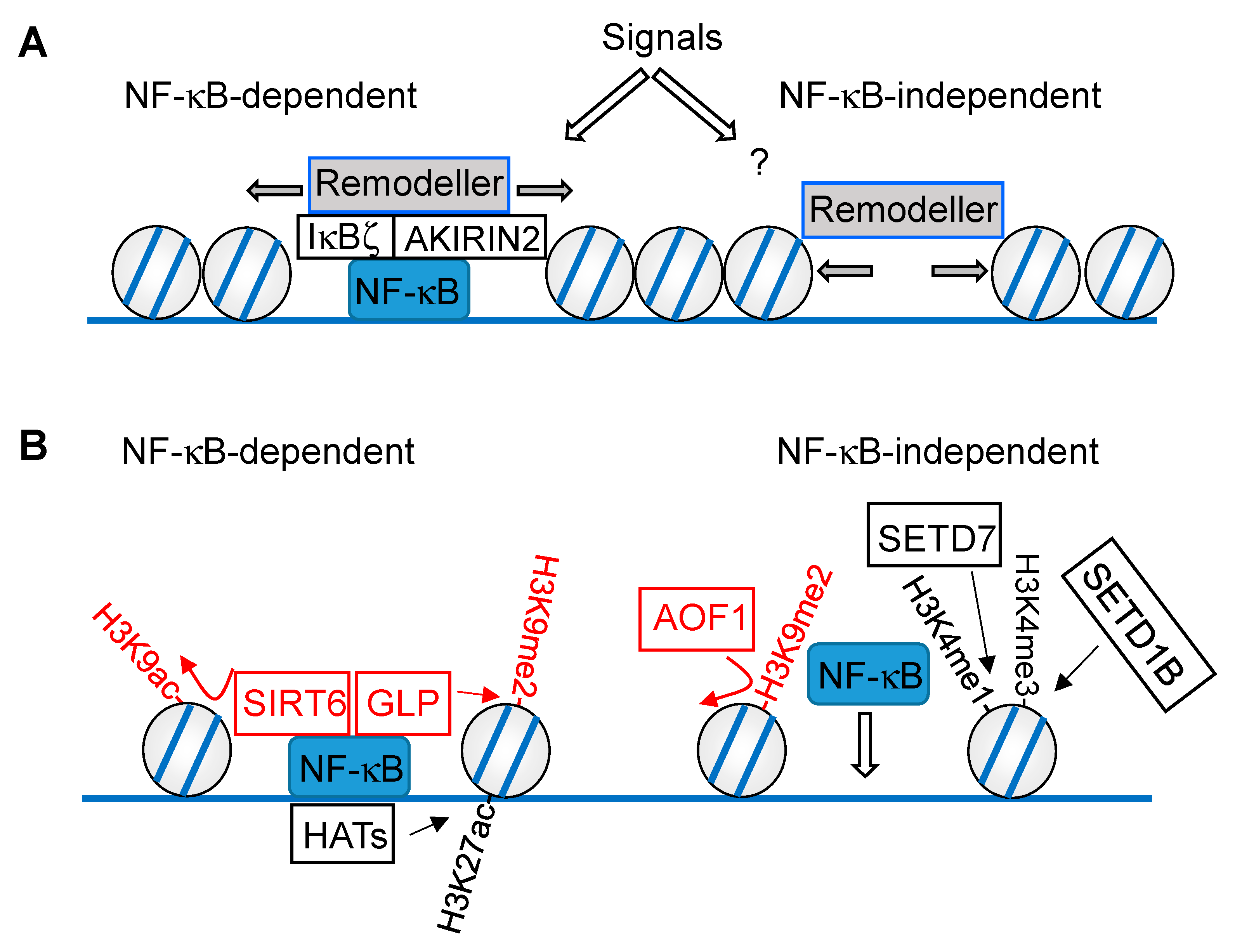 Cells 10 00753 g002 Cells 10 00753 g002
