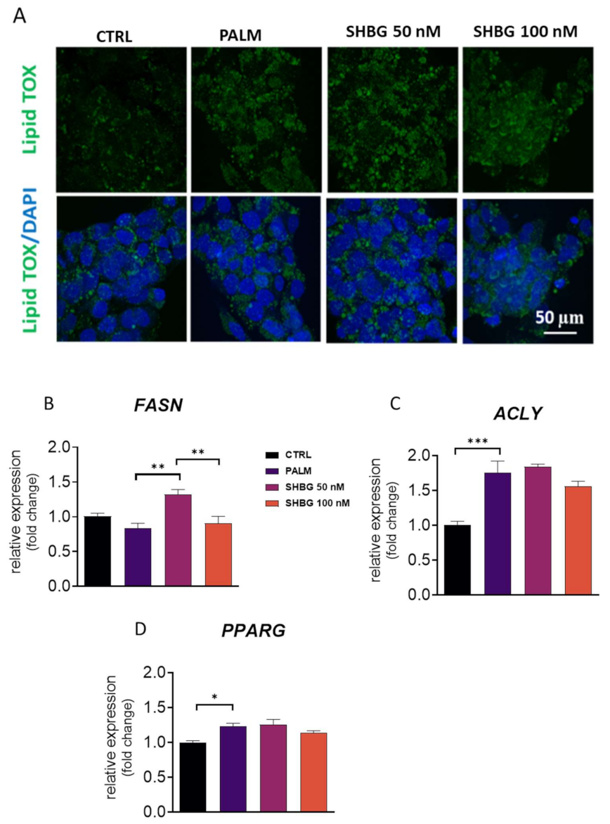 Cells 10 00755 g002 Cells 10 00755 g002