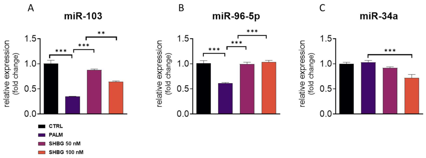 Cells 10 00755 g004 Cells 10 00755 g004