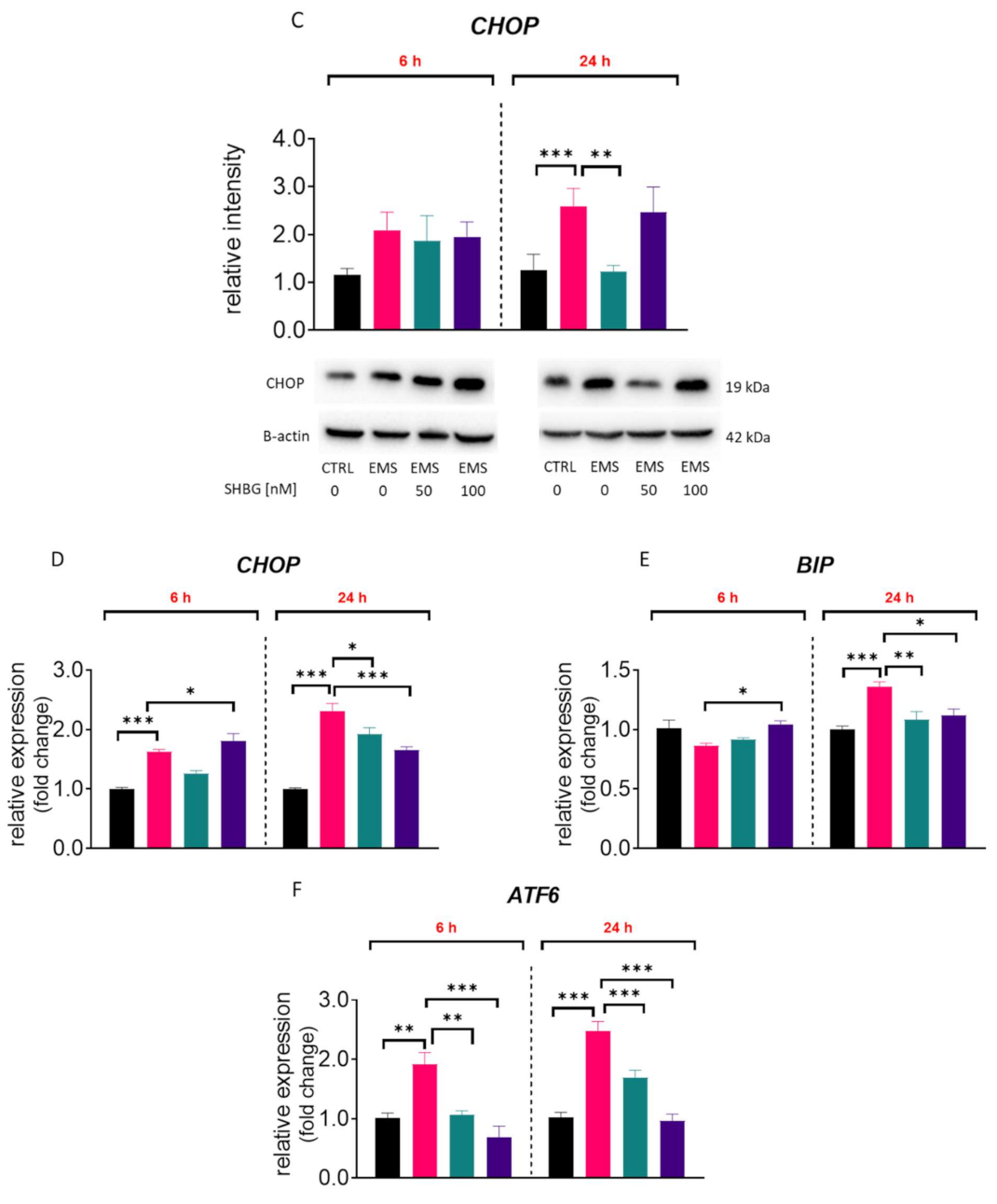 Cells 10 00755 g007b Cells 10 00755 g007b