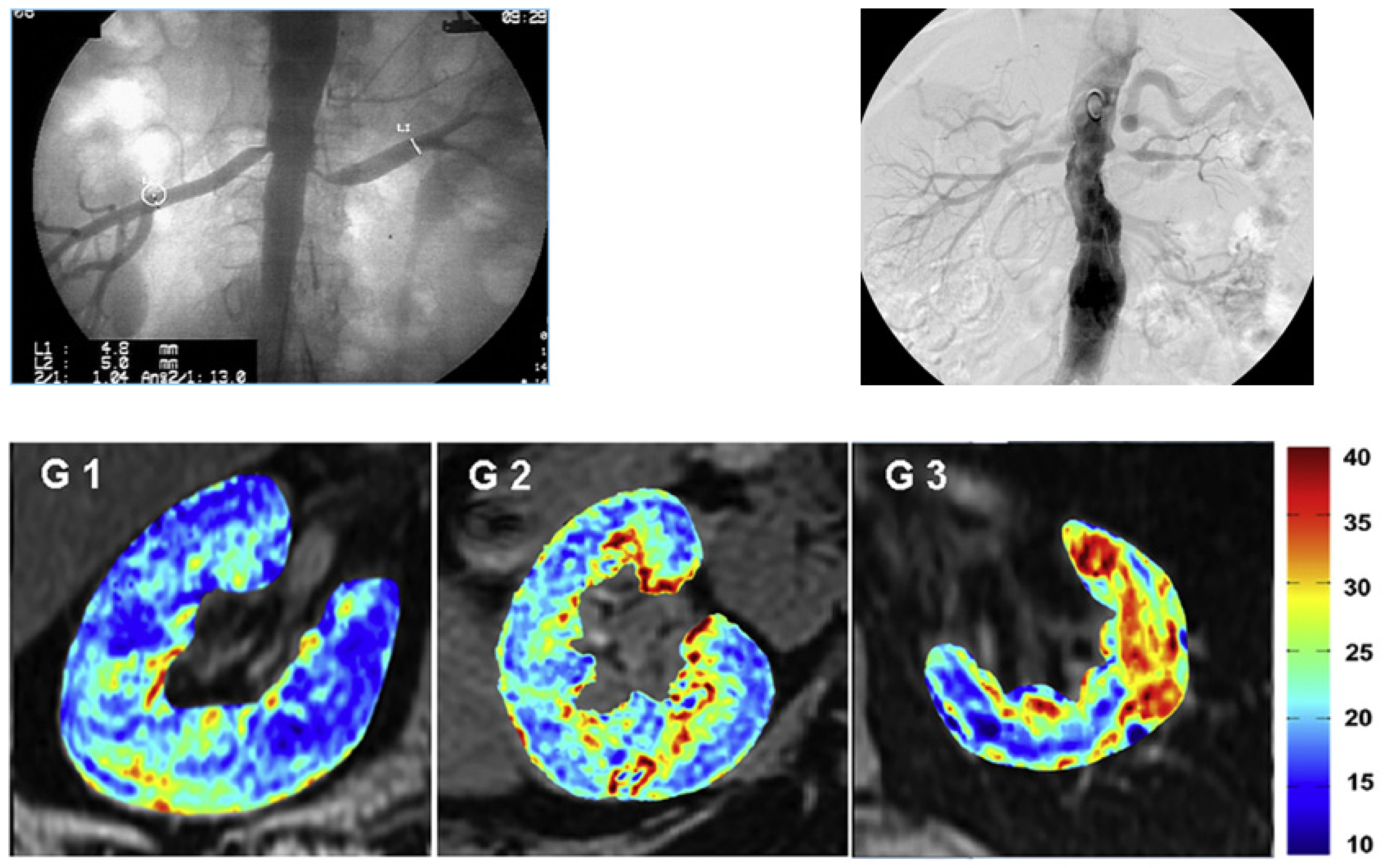 Cells 10 00765 g001 Cells 10 00765 g001