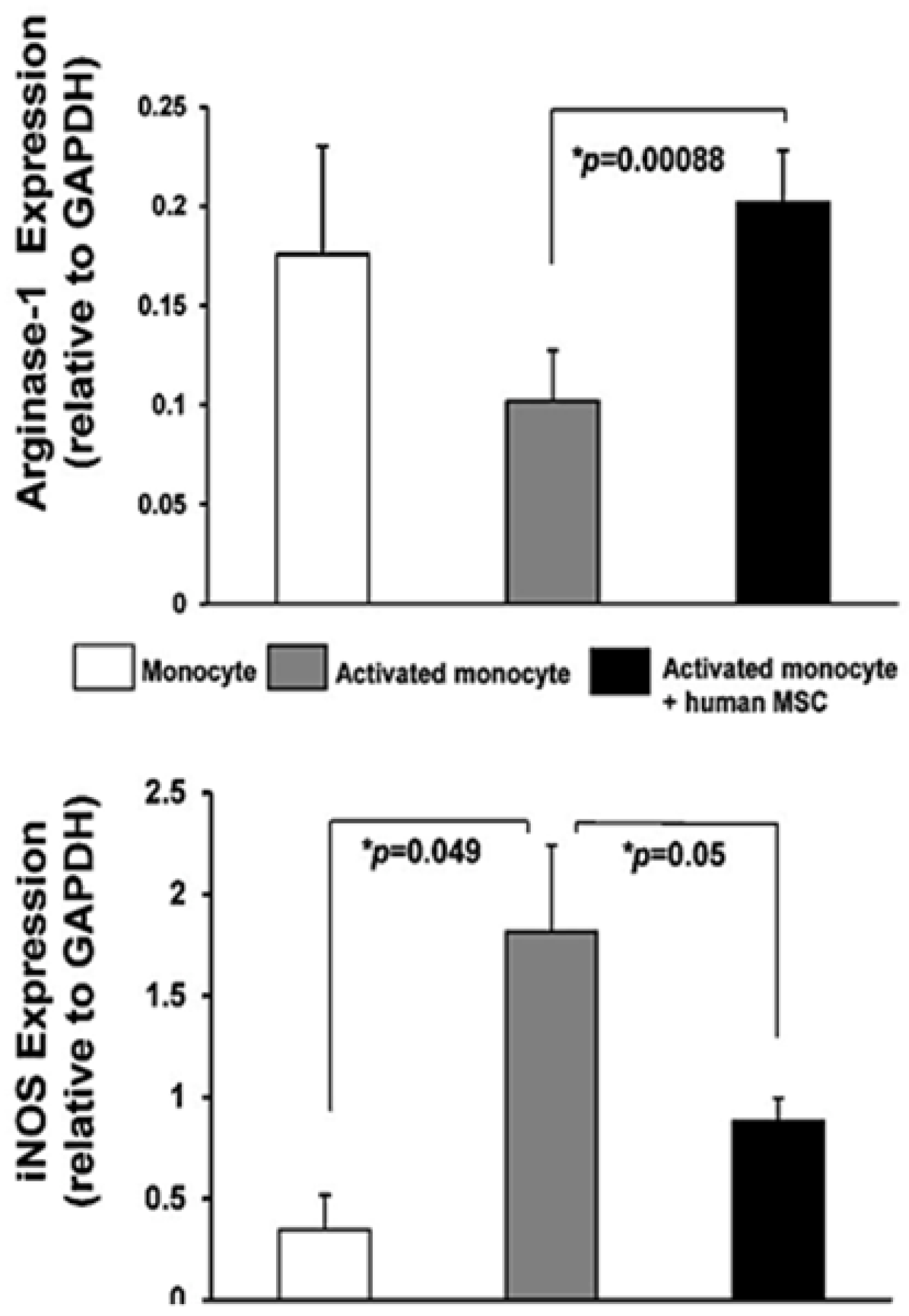 Cells 10 00765 g003 Cells 10 00765 g003