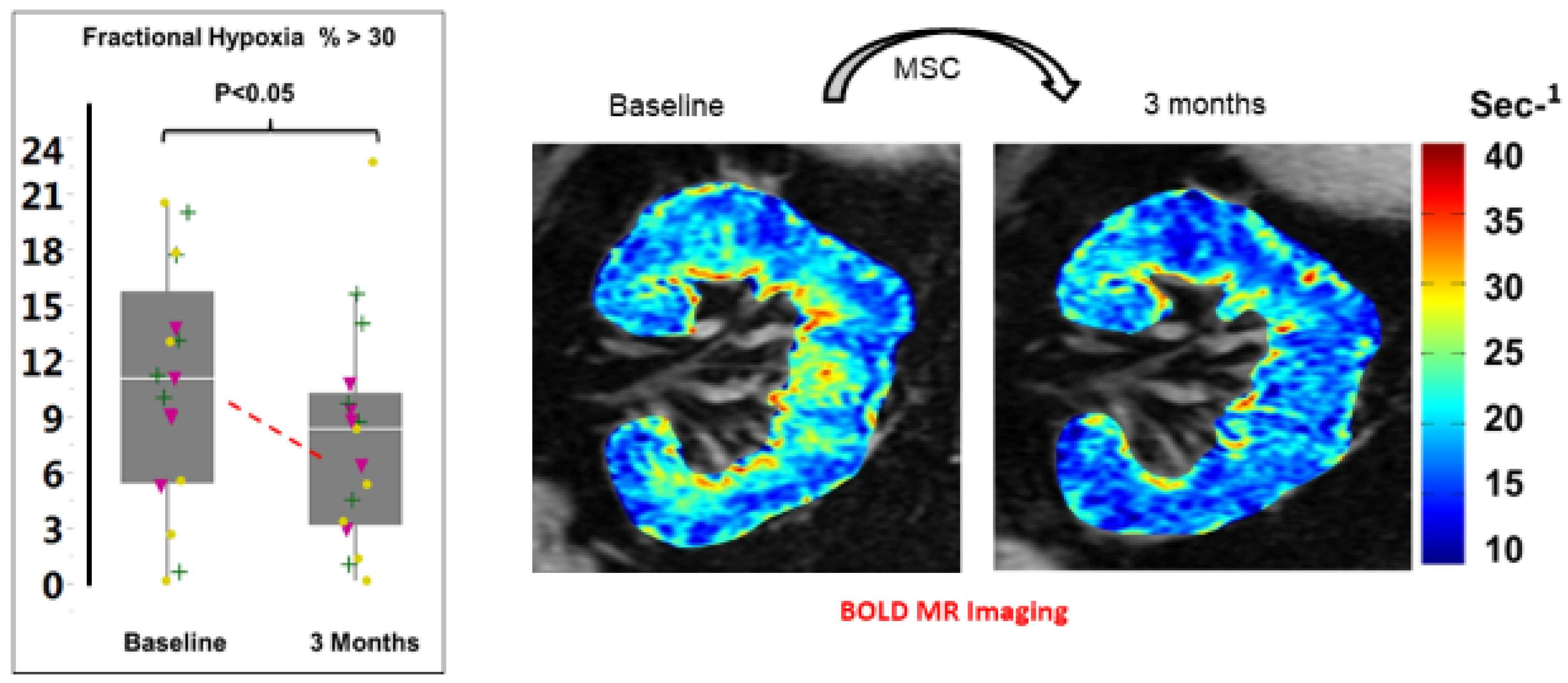 Cells 10 00765 g005 Cells 10 00765 g005