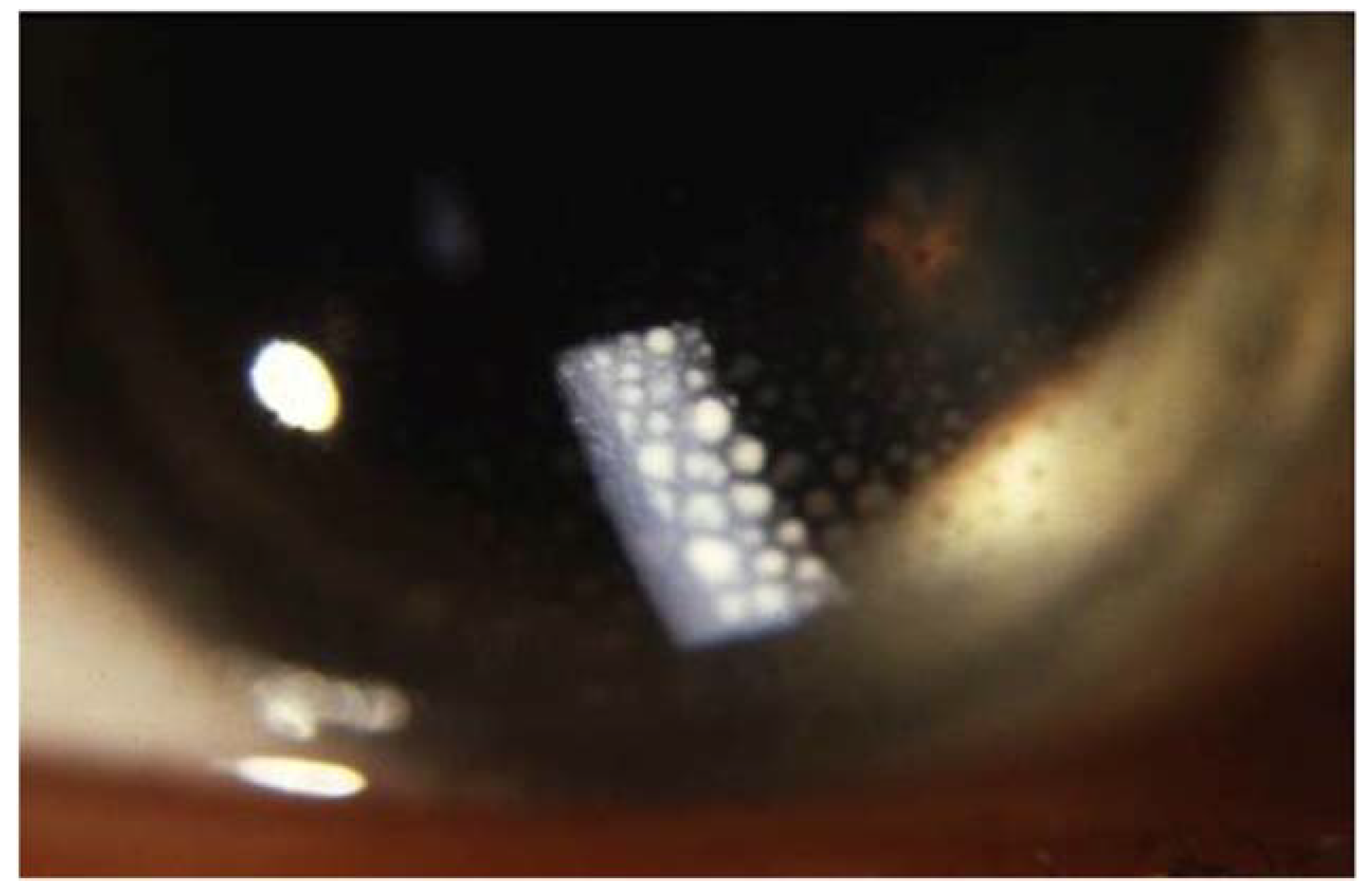 Cells 10 00766 g006 Cells 10 00766 g006