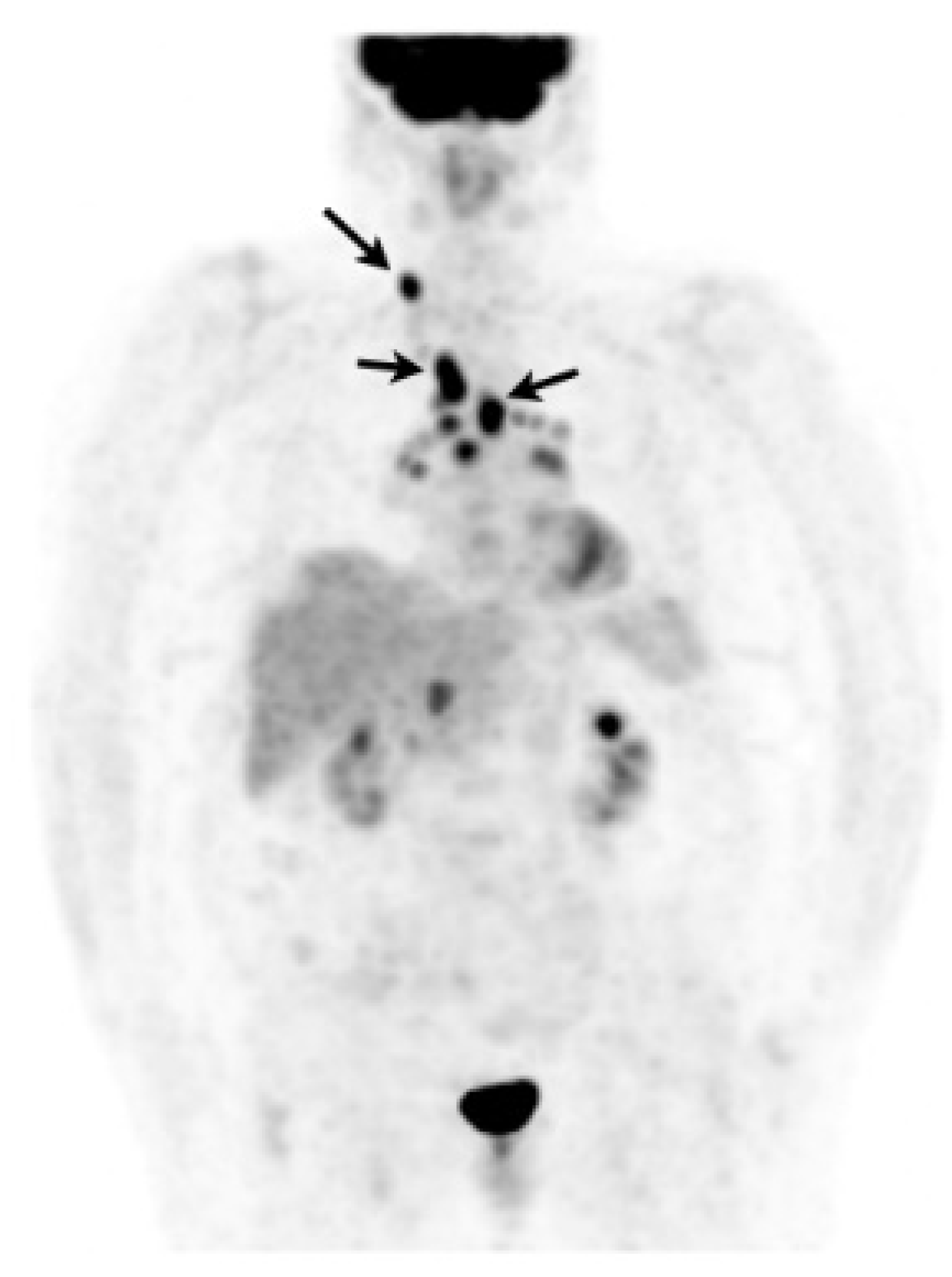 Cells 10 00766 g009 Cells 10 00766 g009