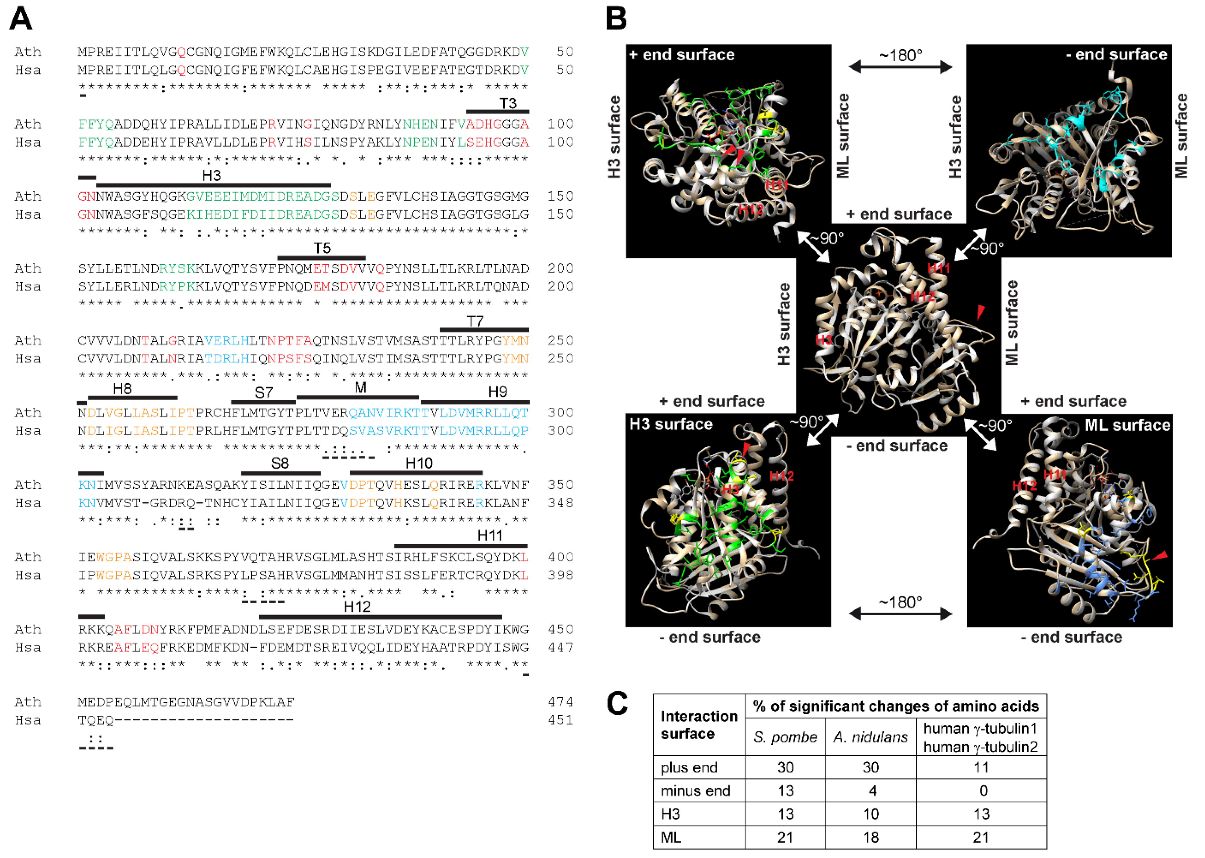 Cells 10 00776 g001 Cells 10 00776 g001