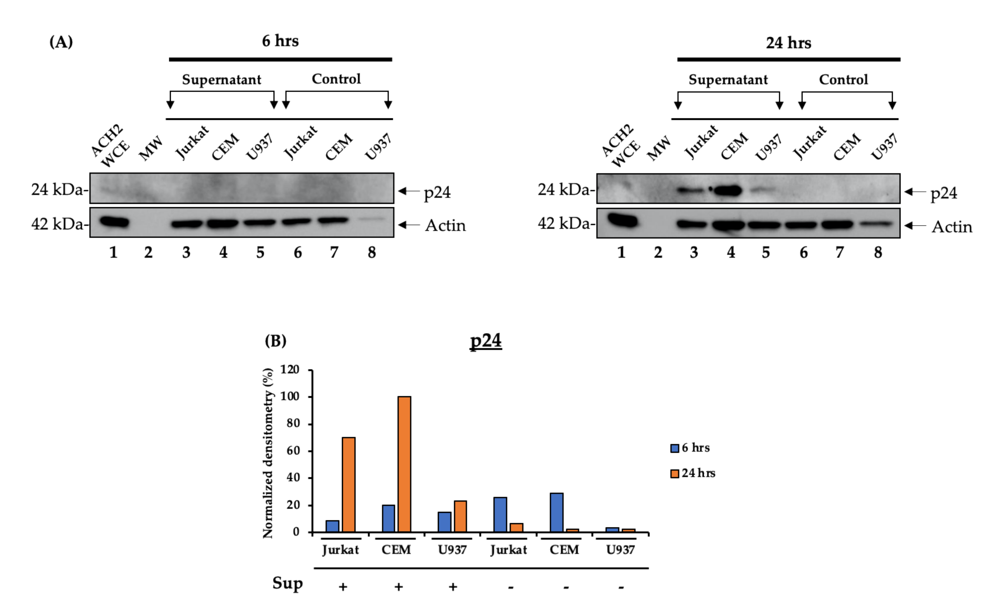 Cells 10 00781 g003 Cells 10 00781 g003