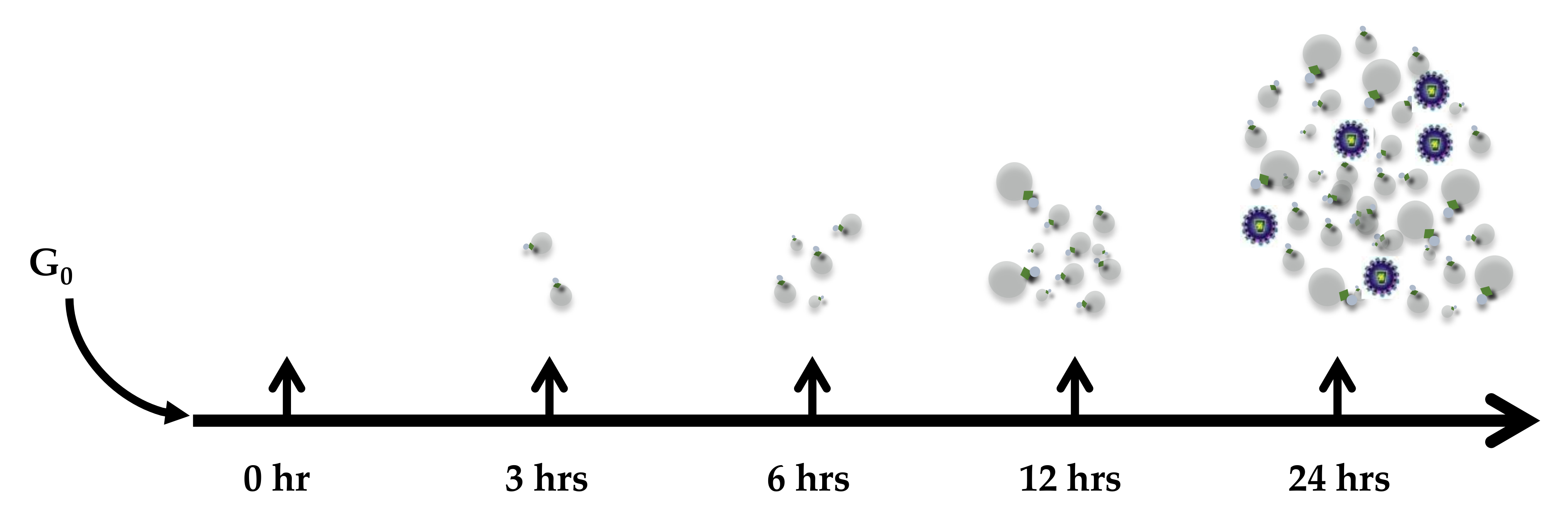 Cells 10 00781 g009 Cells 10 00781 g009