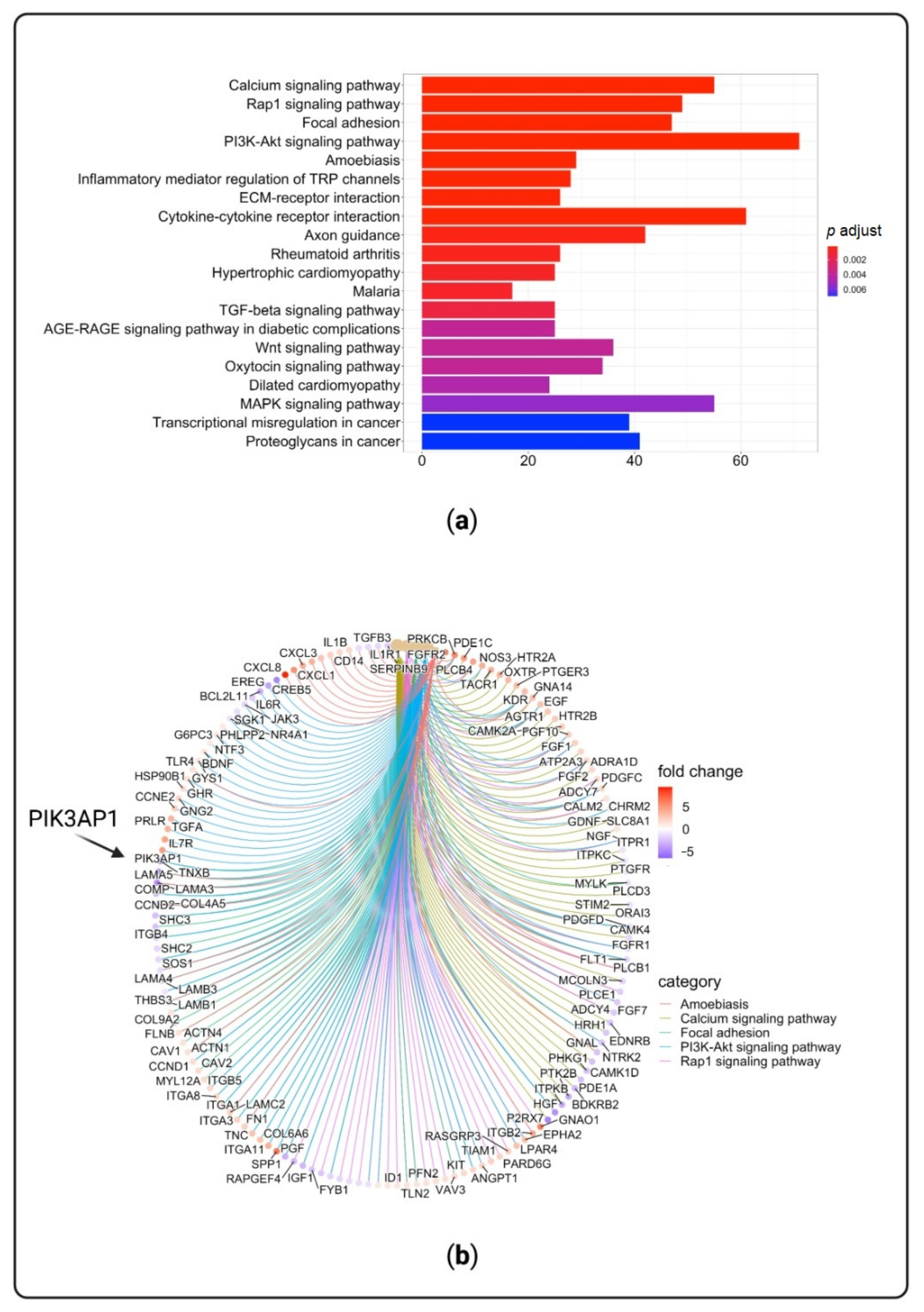 Cells 10 00785 g005 Cells 10 00785 g005