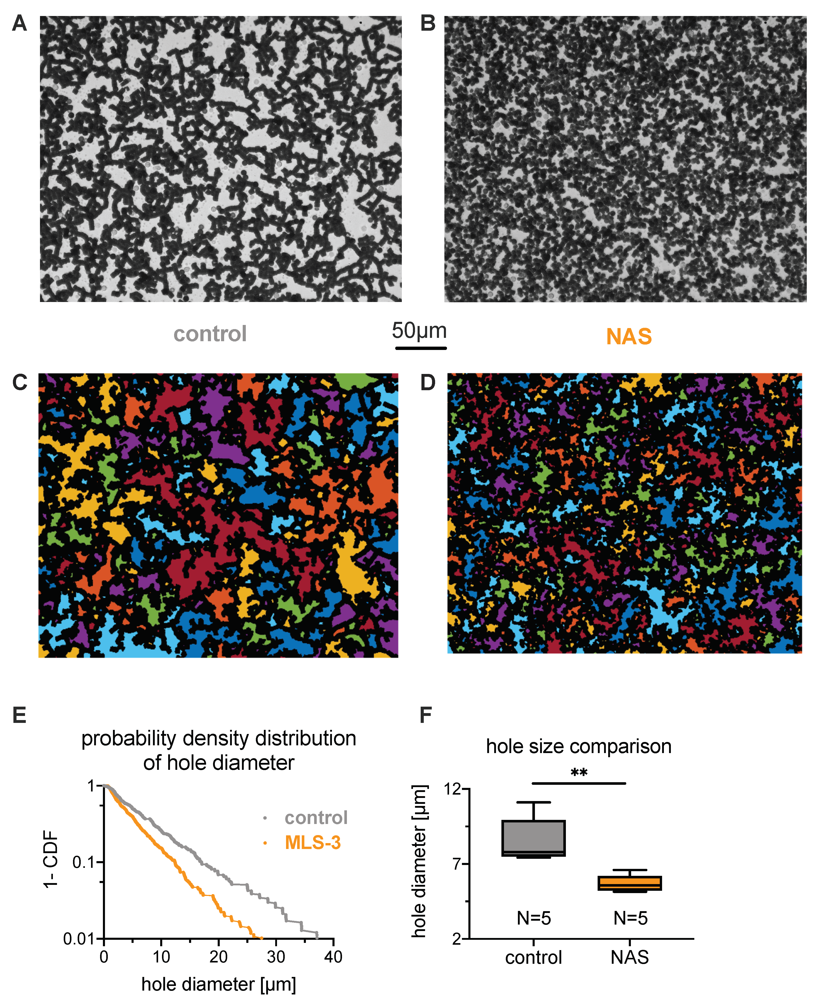 Cells 10 00788 g003a Cells 10 00788 g003a