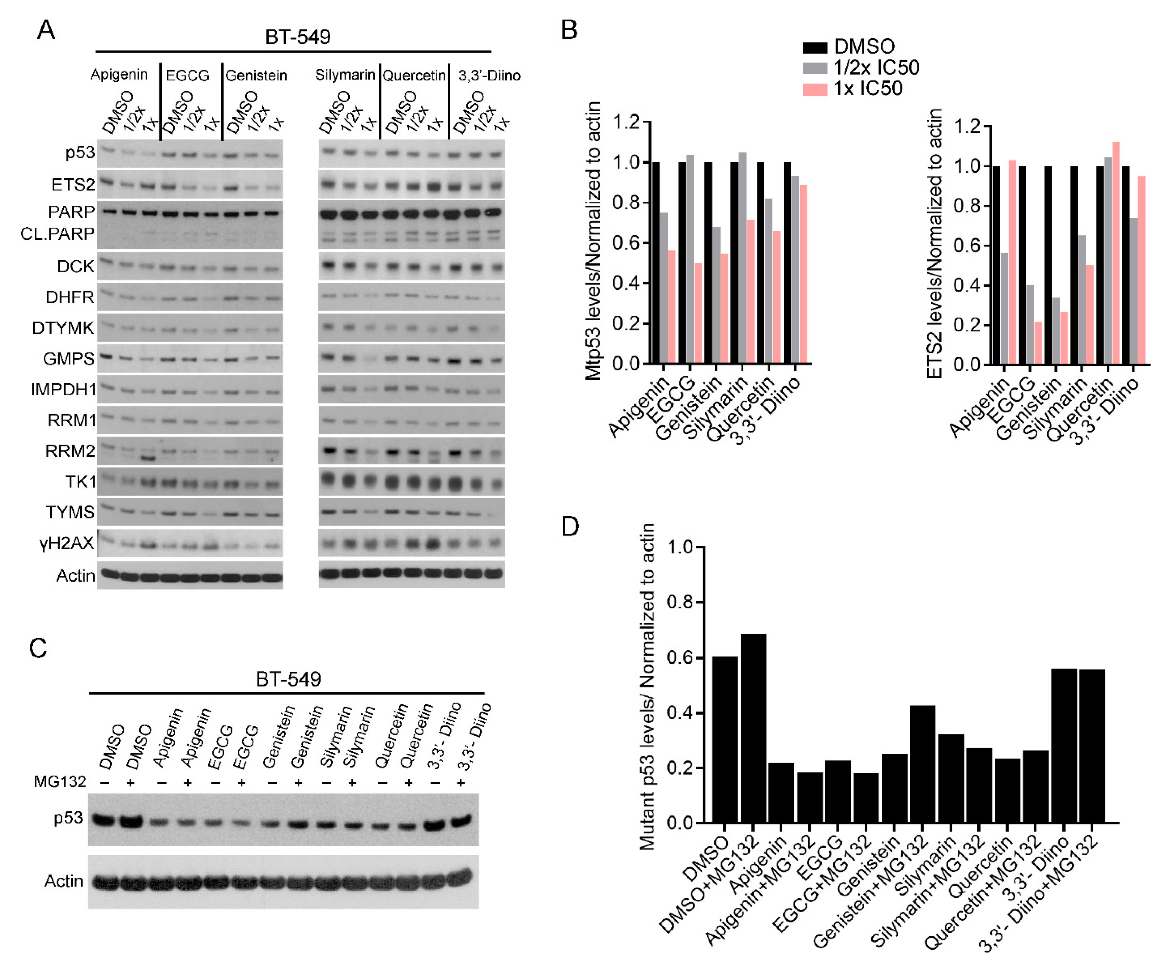 Cells 10 00797 g002 Cells 10 00797 g002