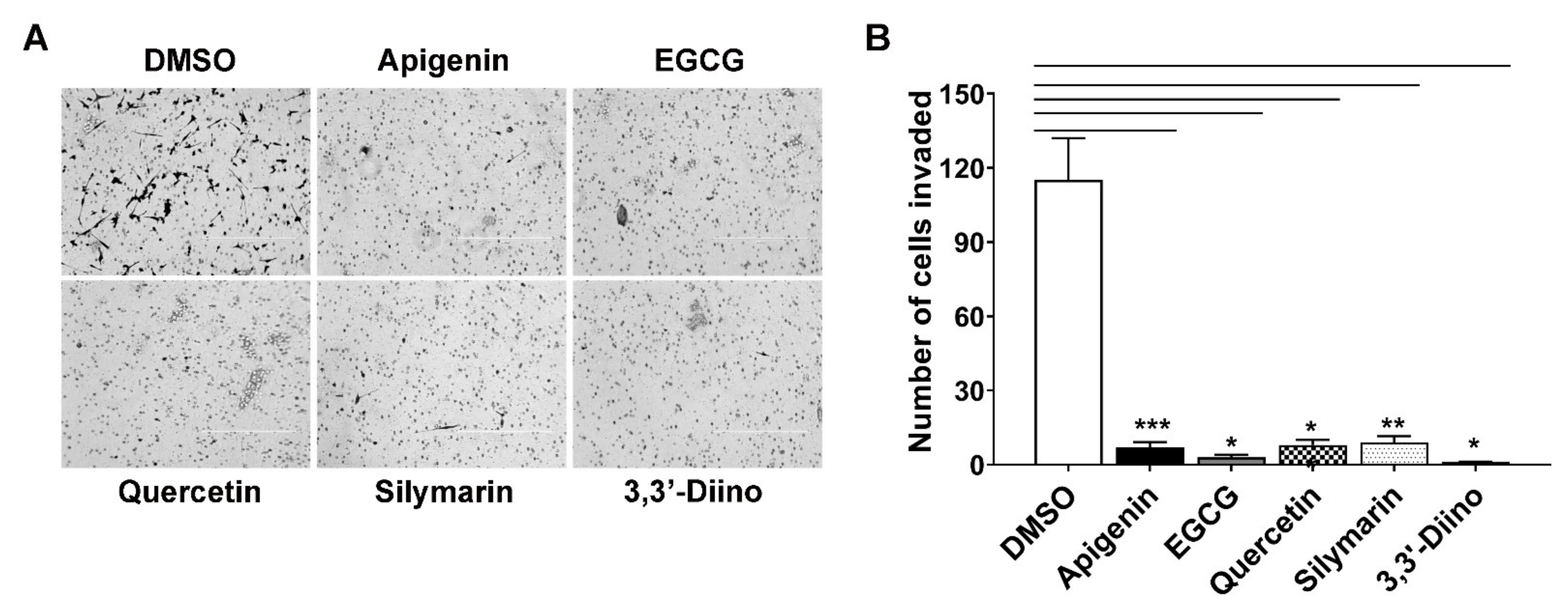 Cells 10 00797 g005 Cells 10 00797 g005