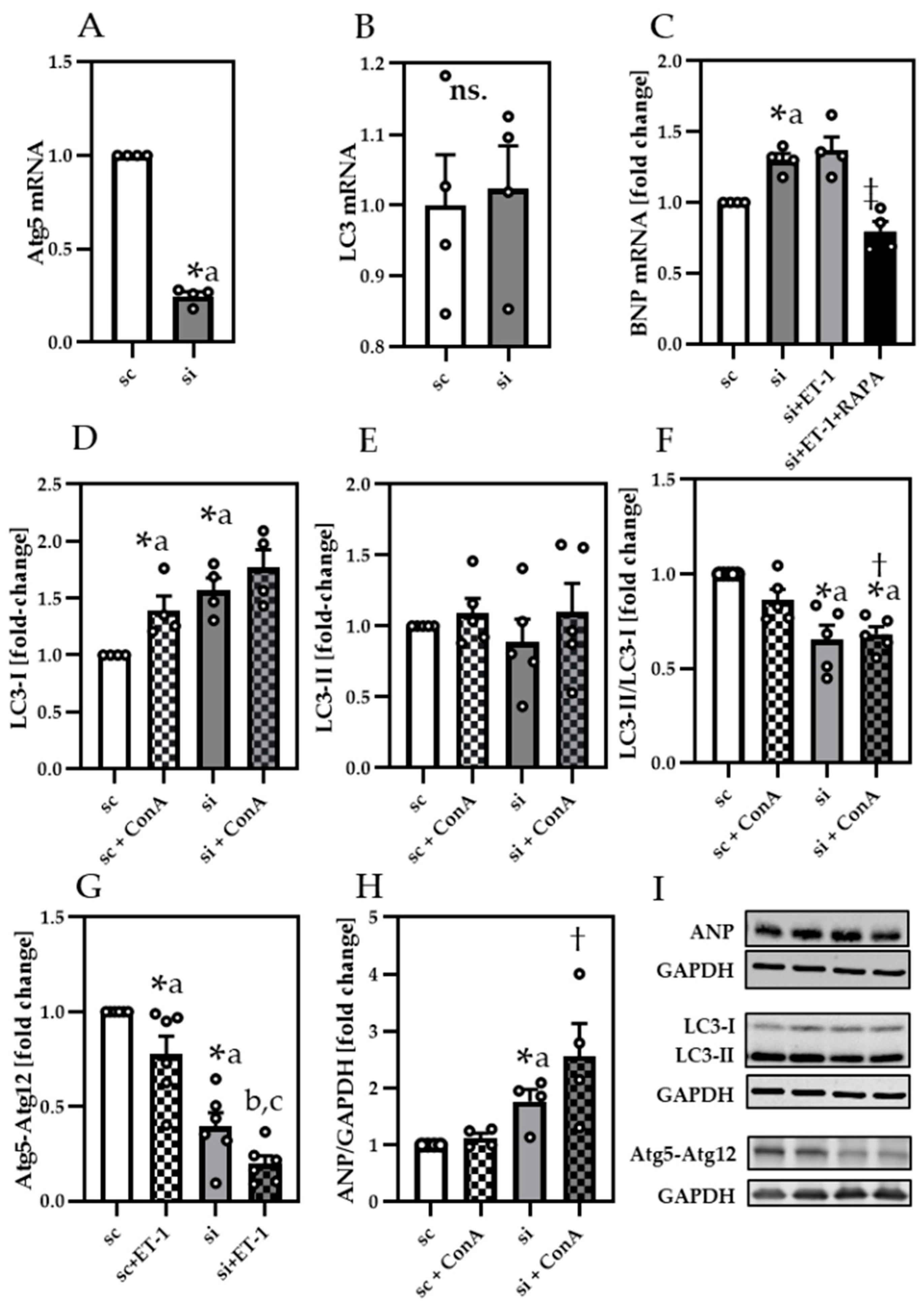 Cells 10 00805 g005