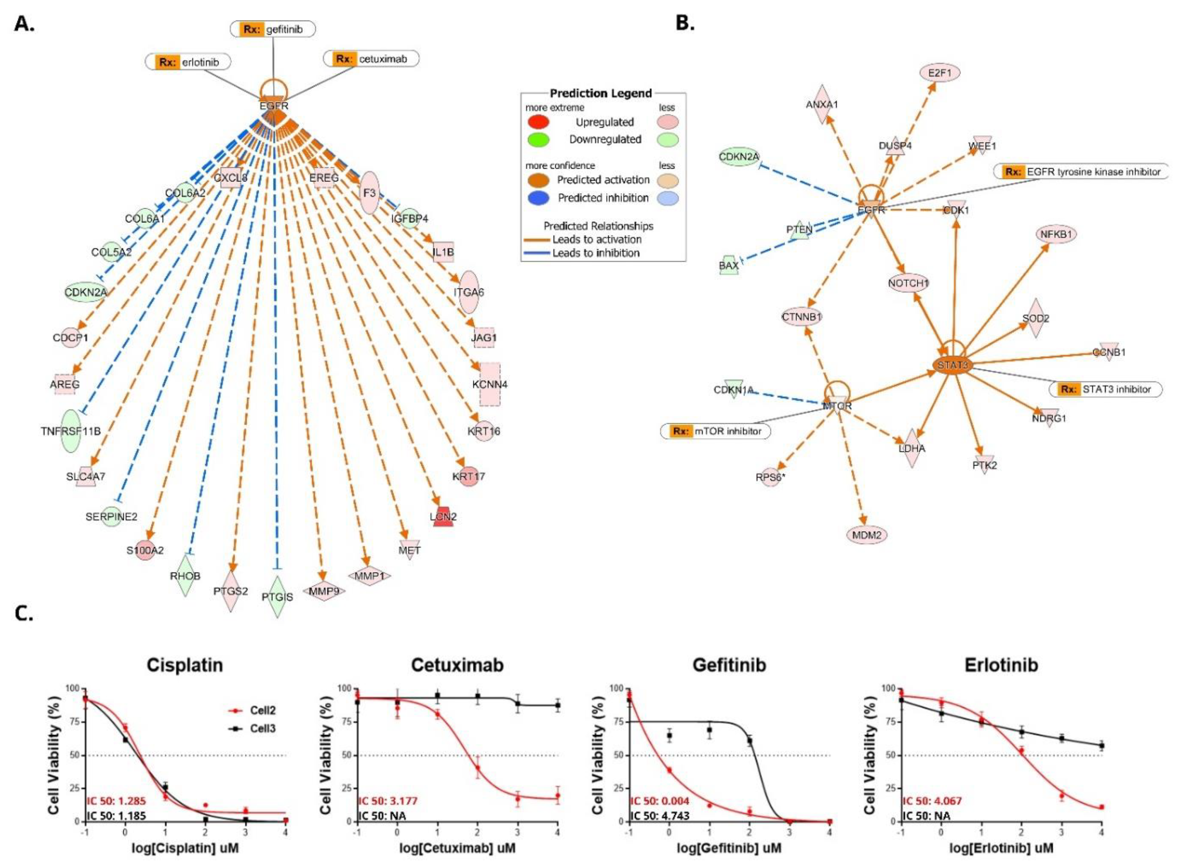 Cells 10 00814 g004 Cells 10 00814 g004